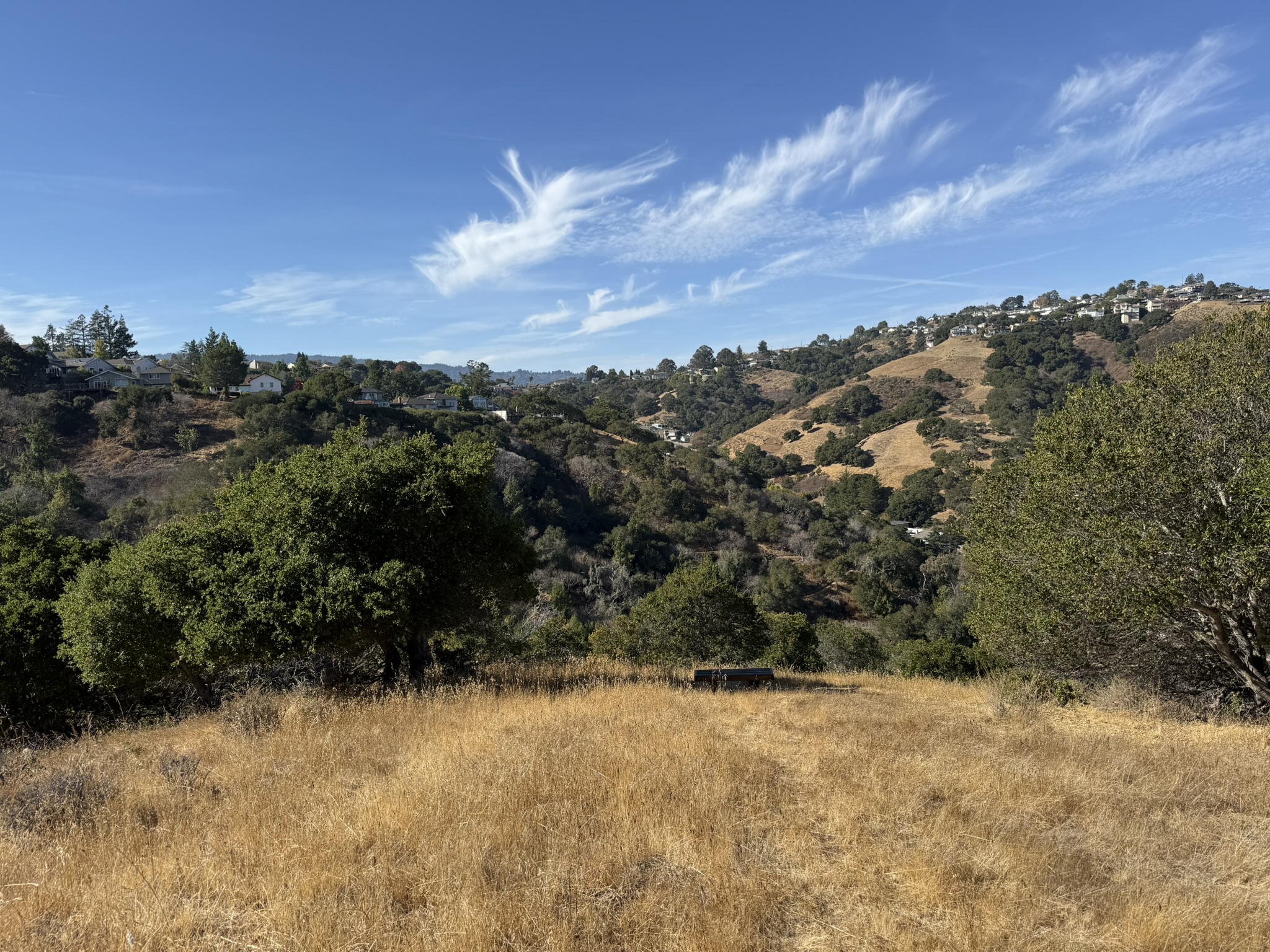 Vista Trail