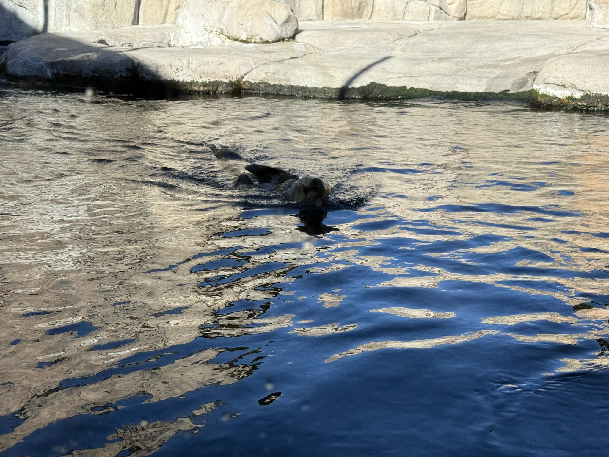 Monterey Bay Aquarium