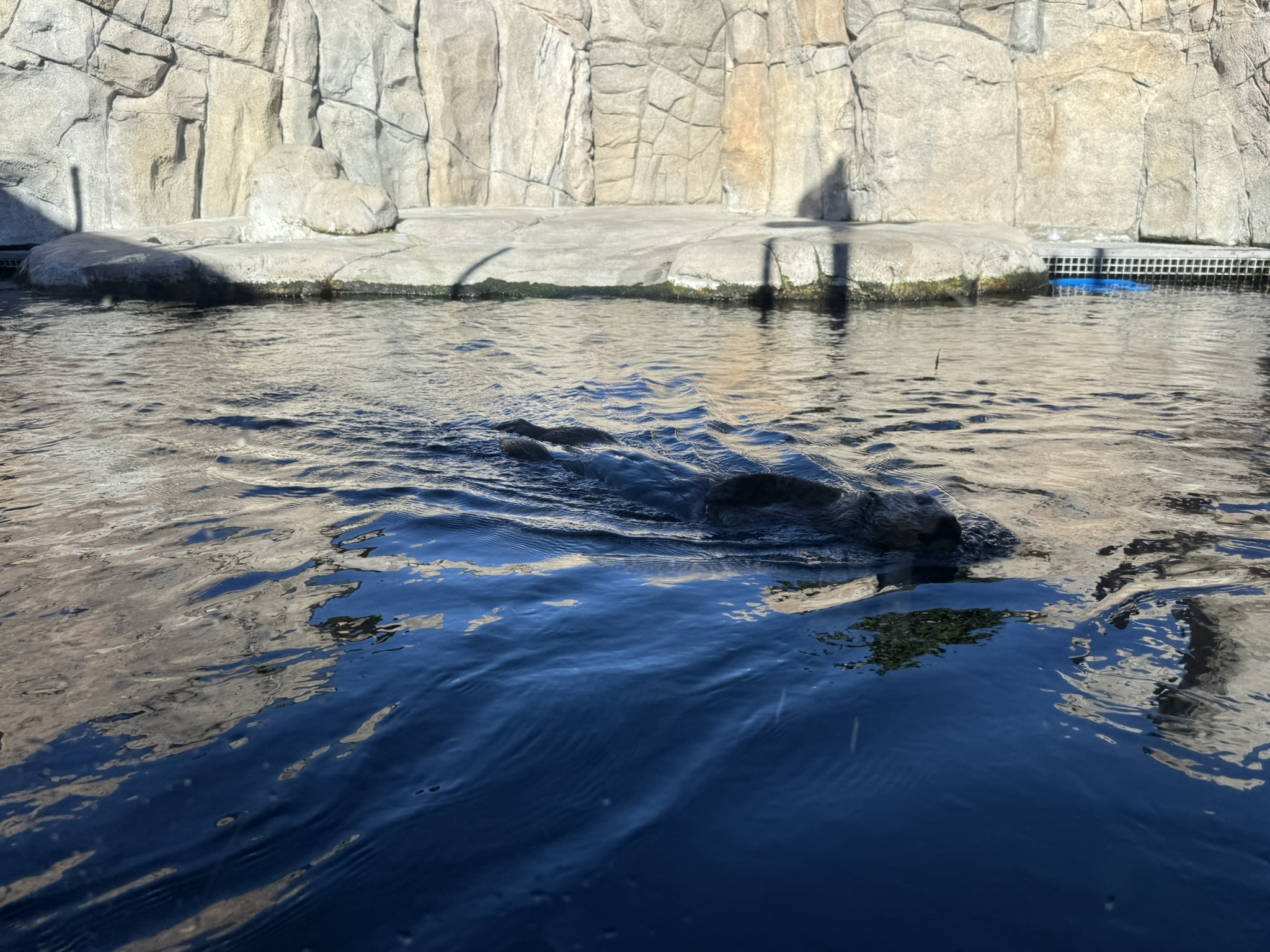 Monterey Bay Aquarium