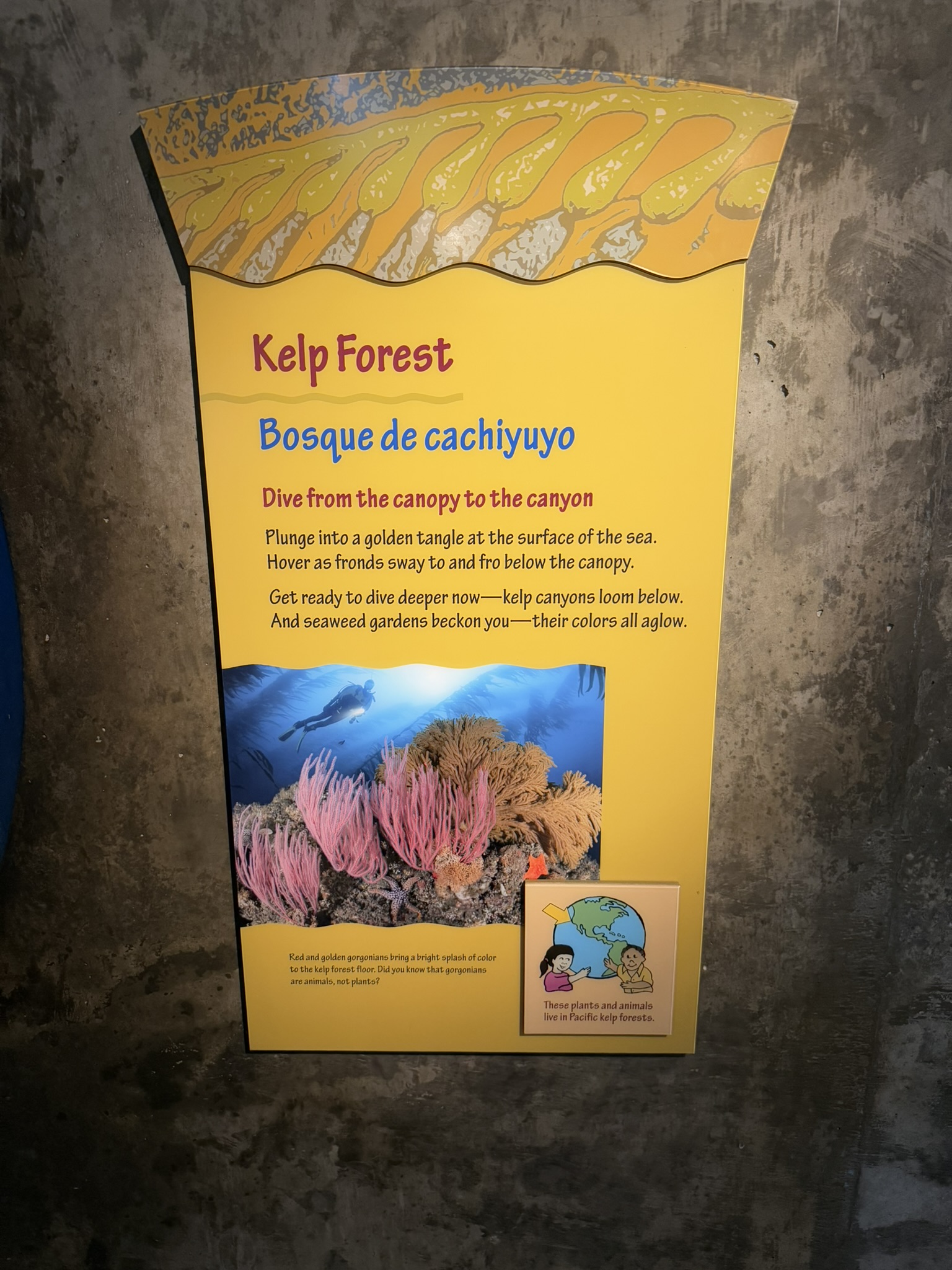 Monterey Bay Aquarium