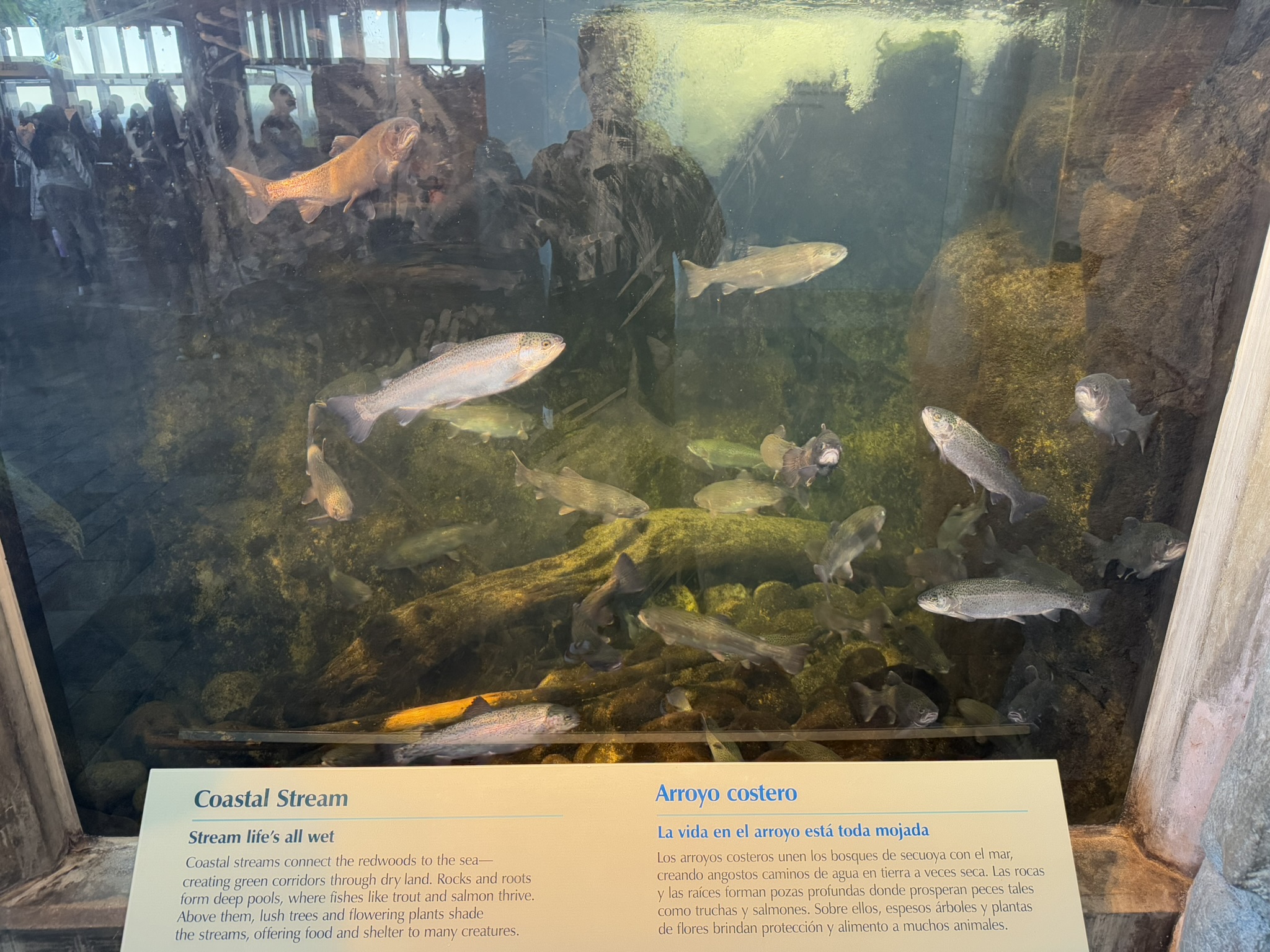 Monterey Bay Aquarium