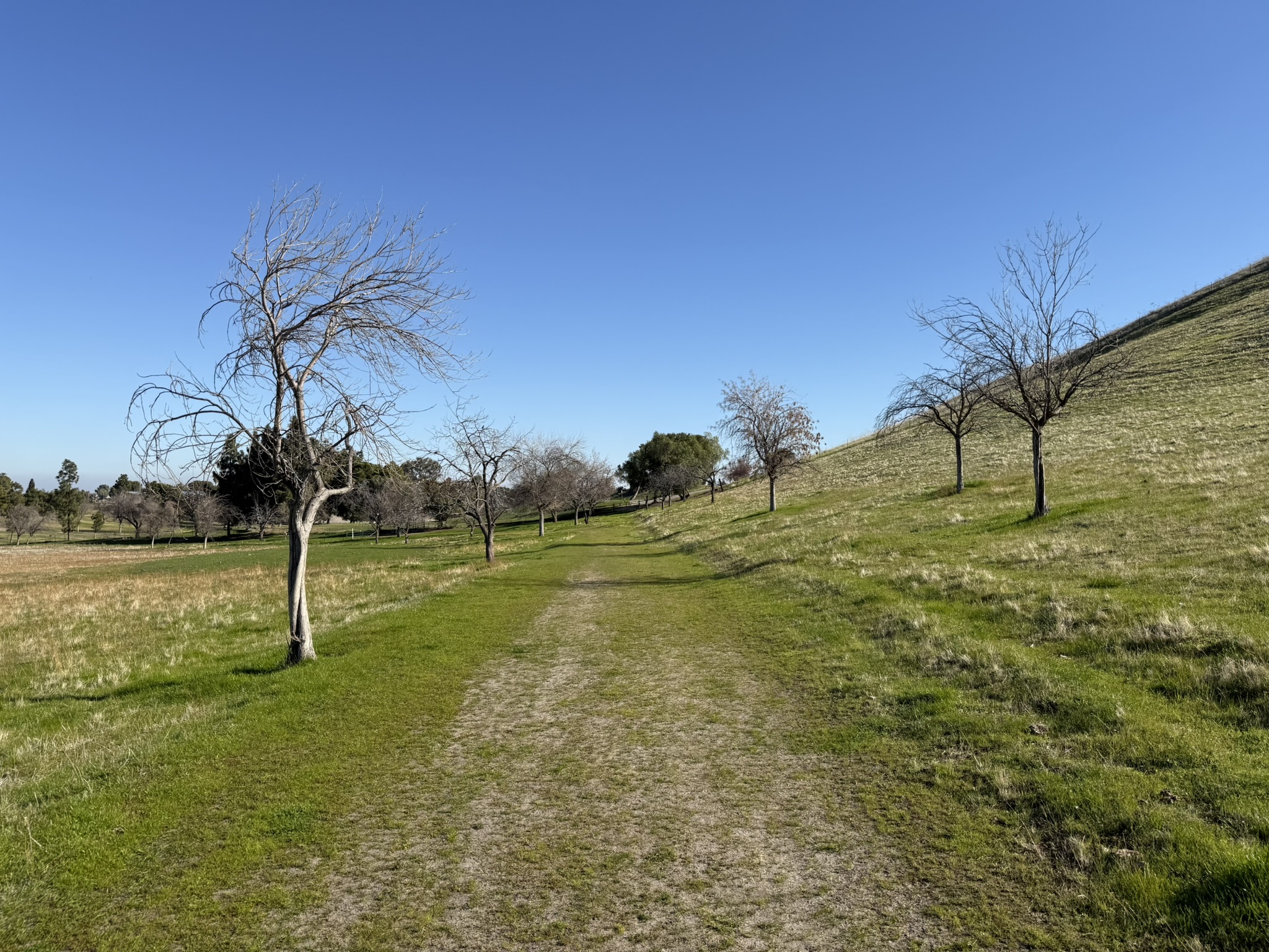 Old Ranch Loop