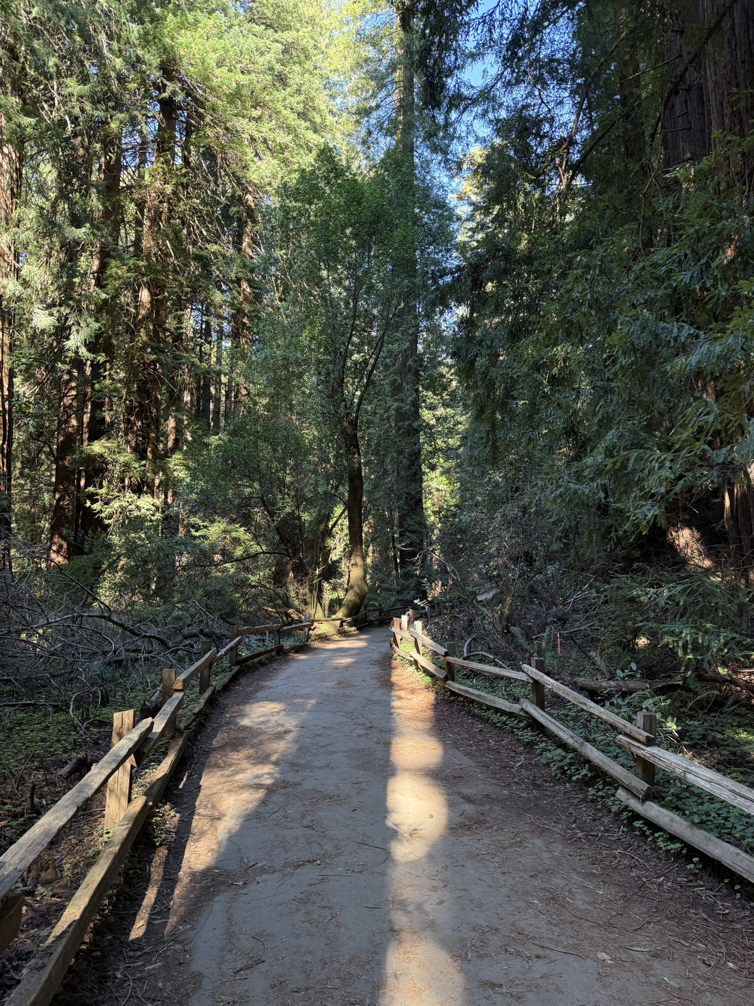 Muir Woods National Monument