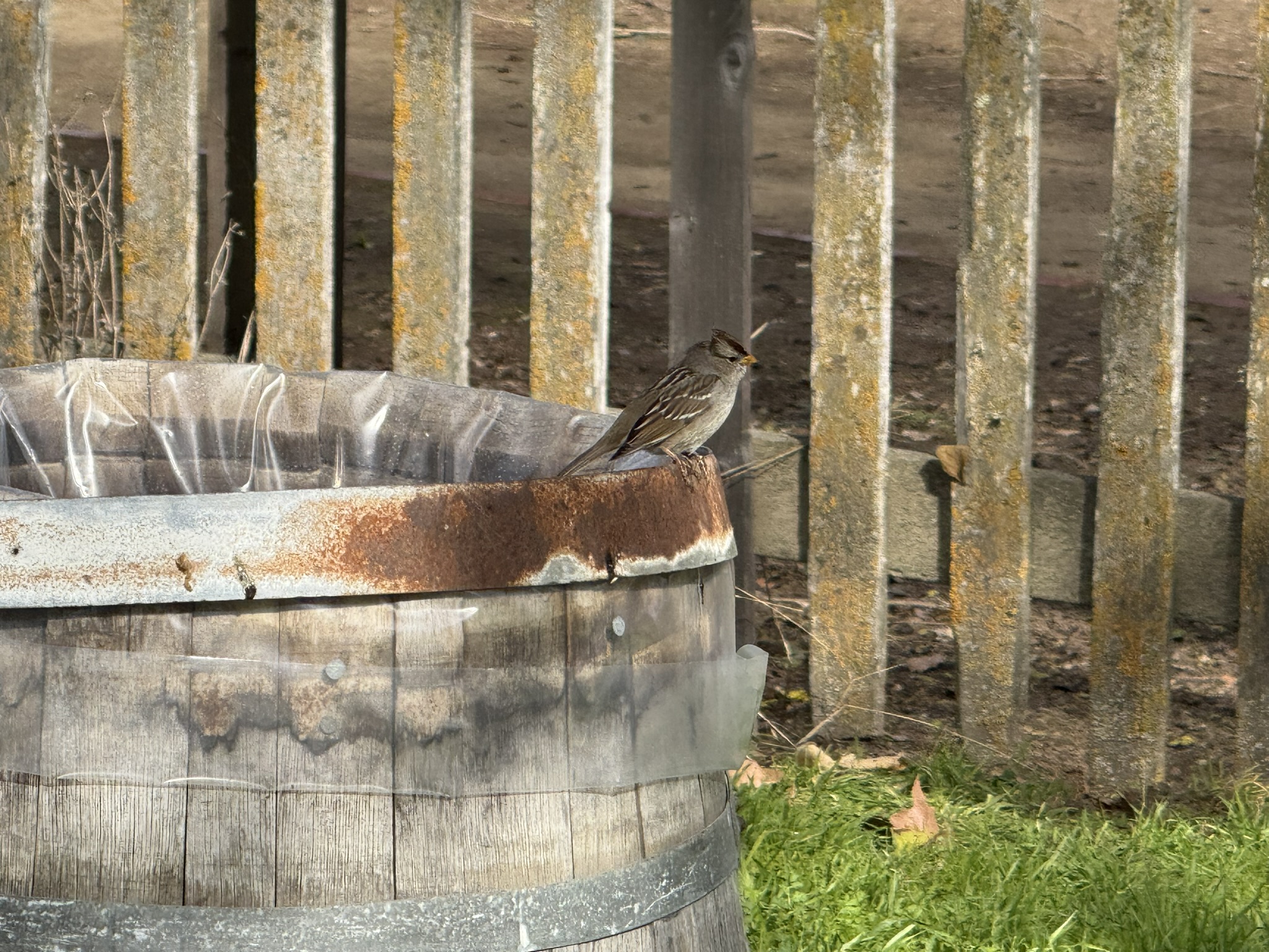 San Juan Bautista State Historic Park