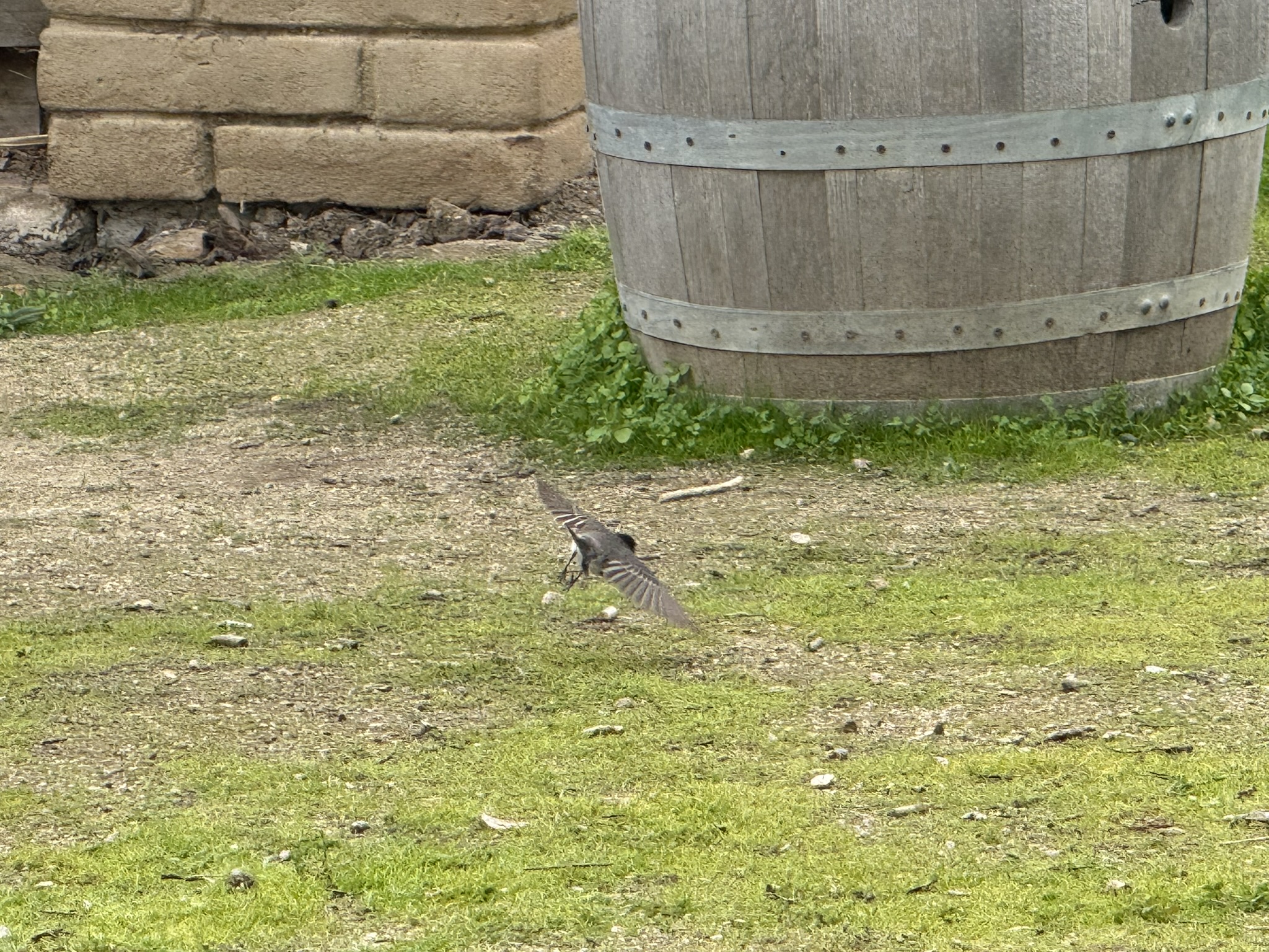 San Juan Bautista State Historic Park