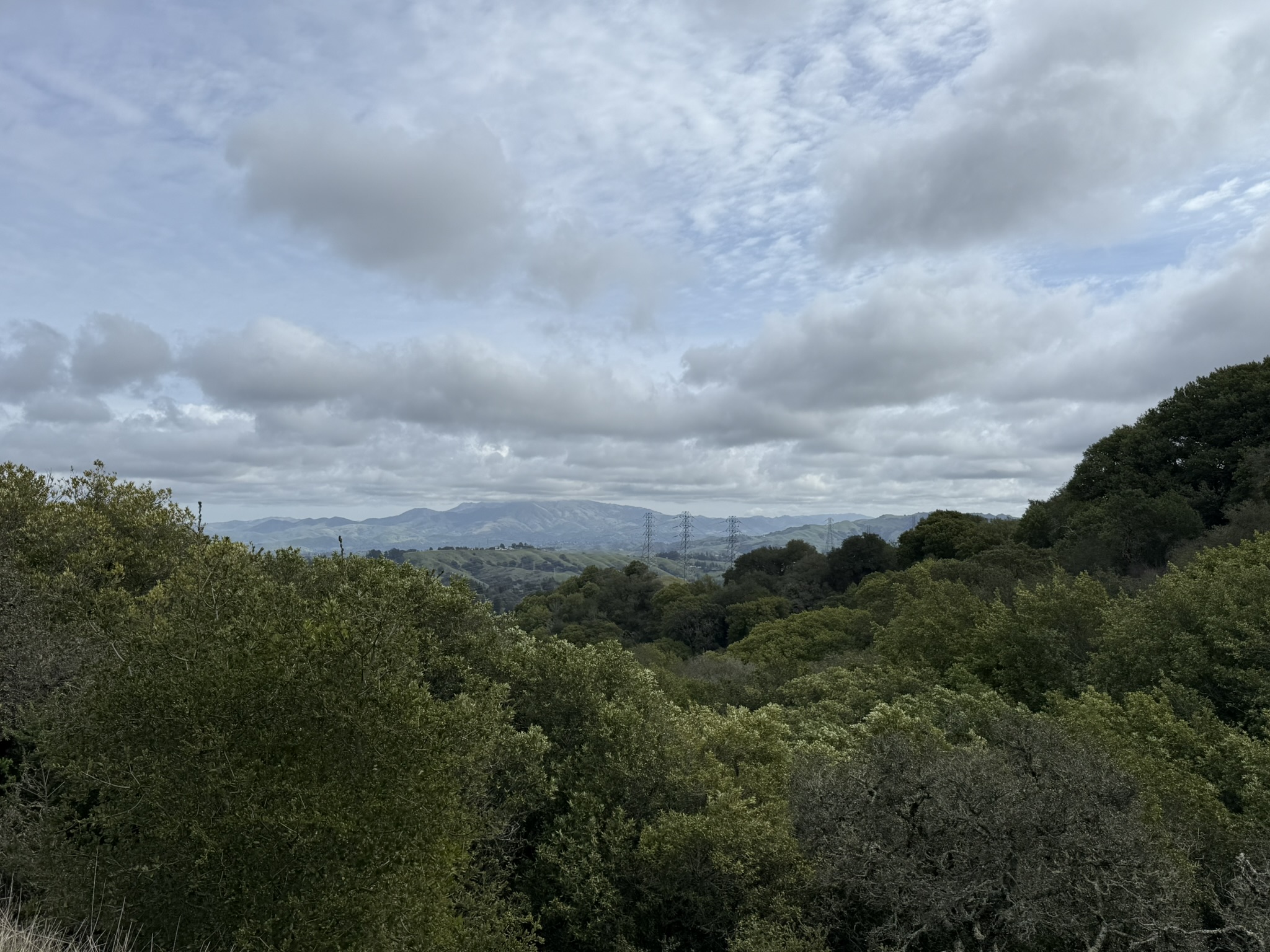 Sibley Volcanic Regional Preserve