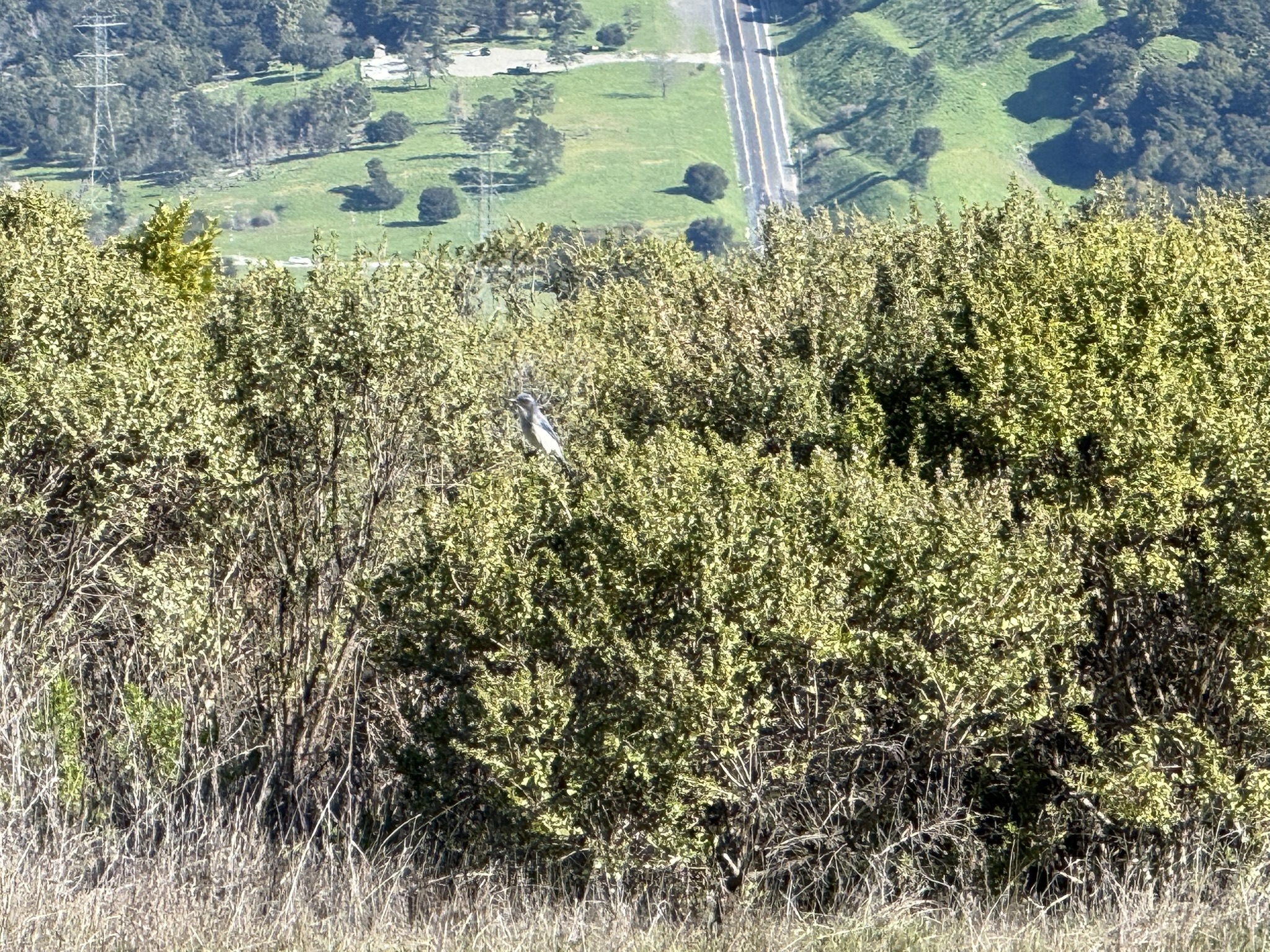 Tilden Regional Park East