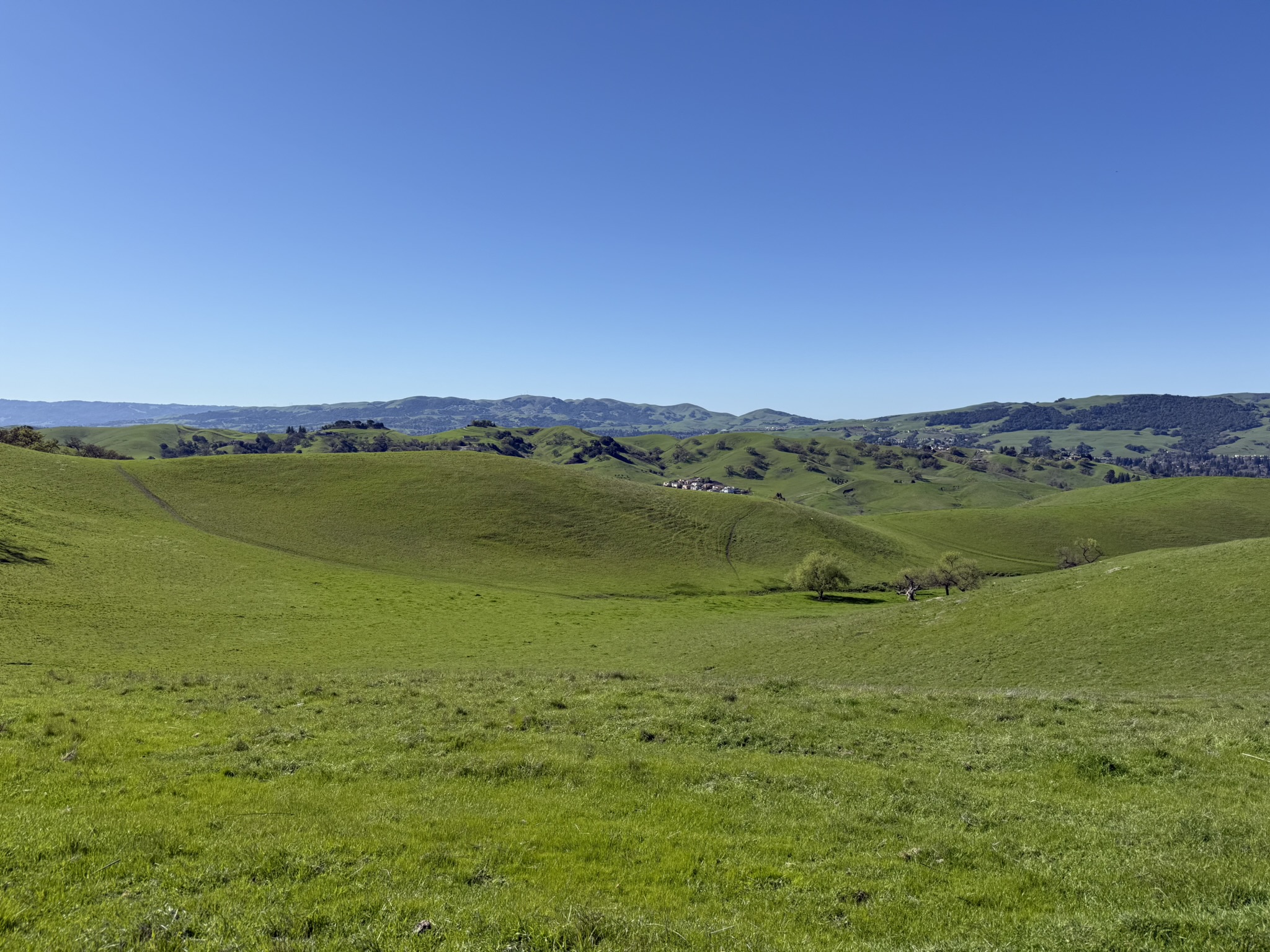 Sycamore Valley Open Space Regional Preserve