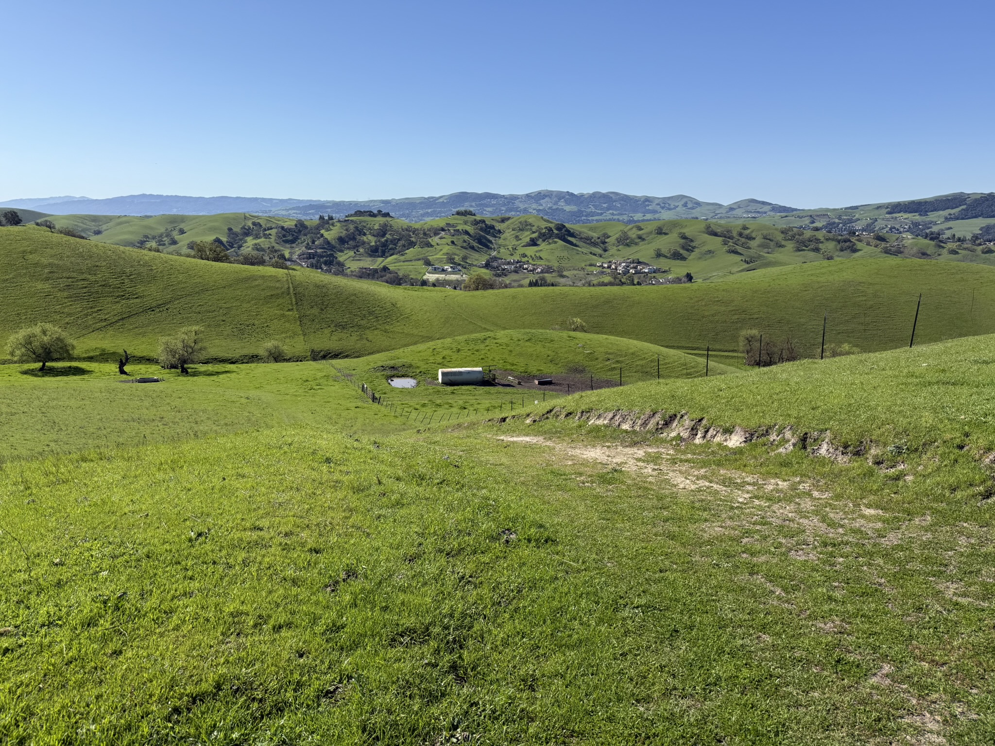 Sycamore Valley Open Space Regional Preserve