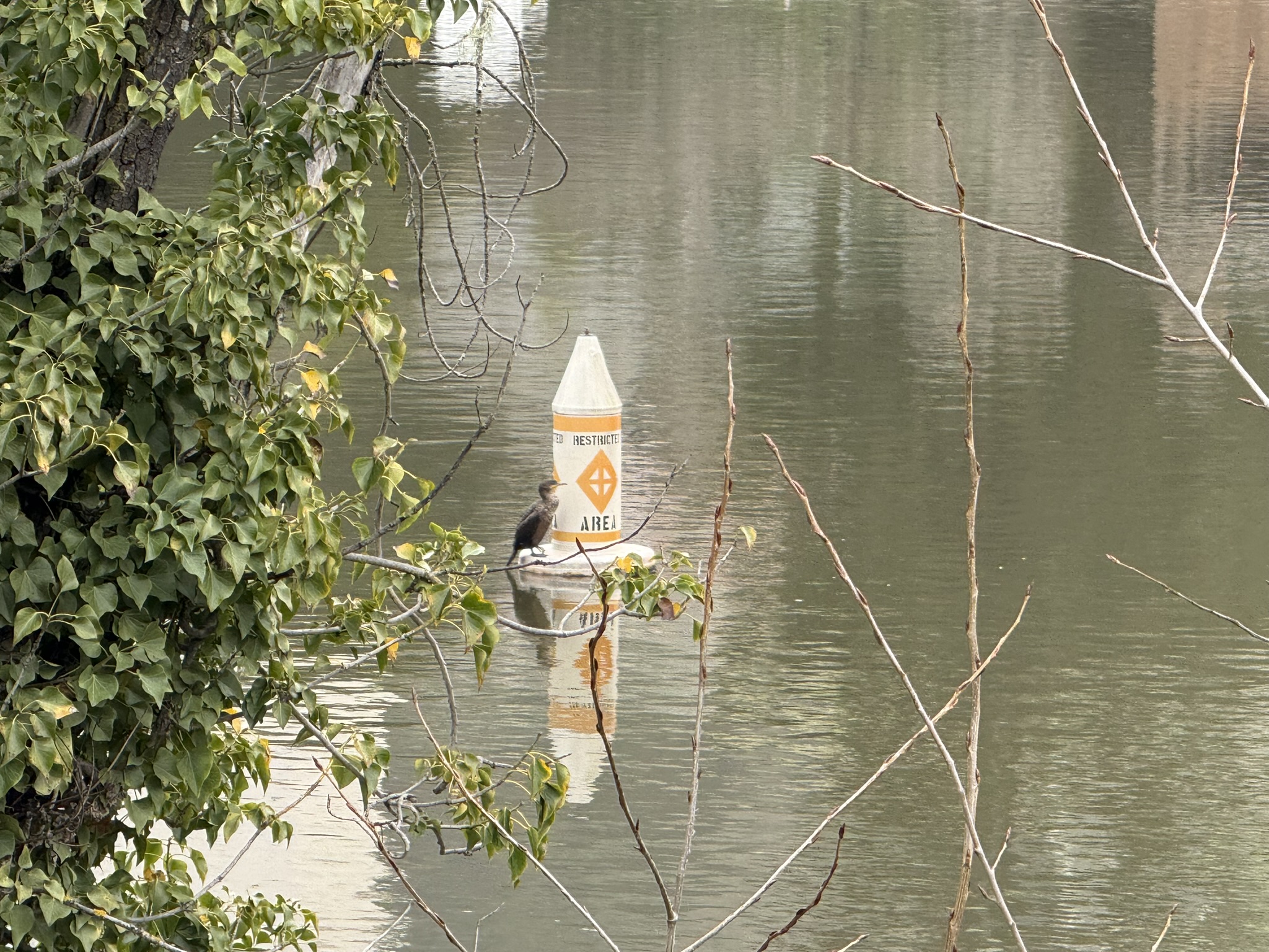Temescal Regional Recreation Area