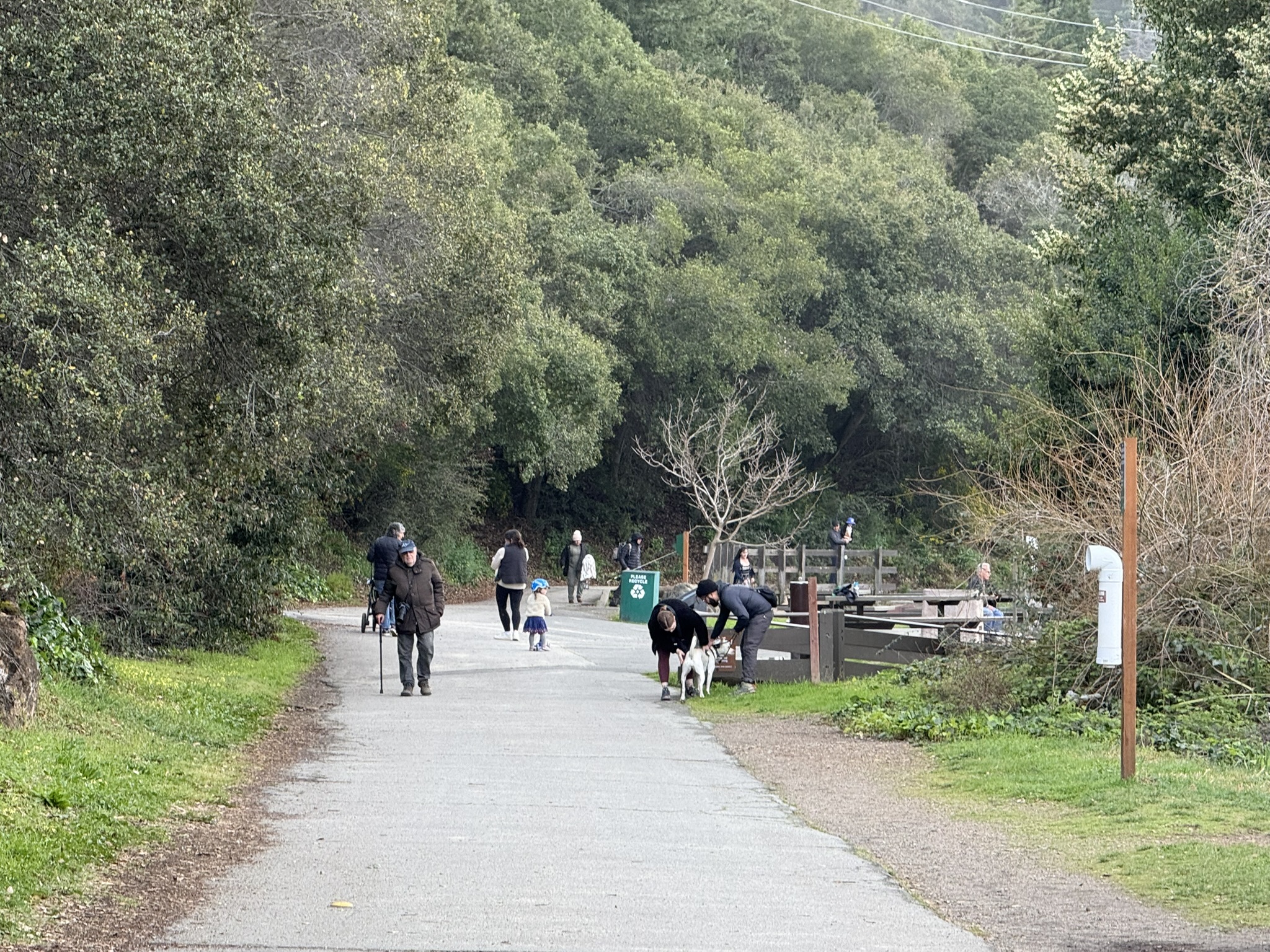 Temescal Regional Recreation Area
