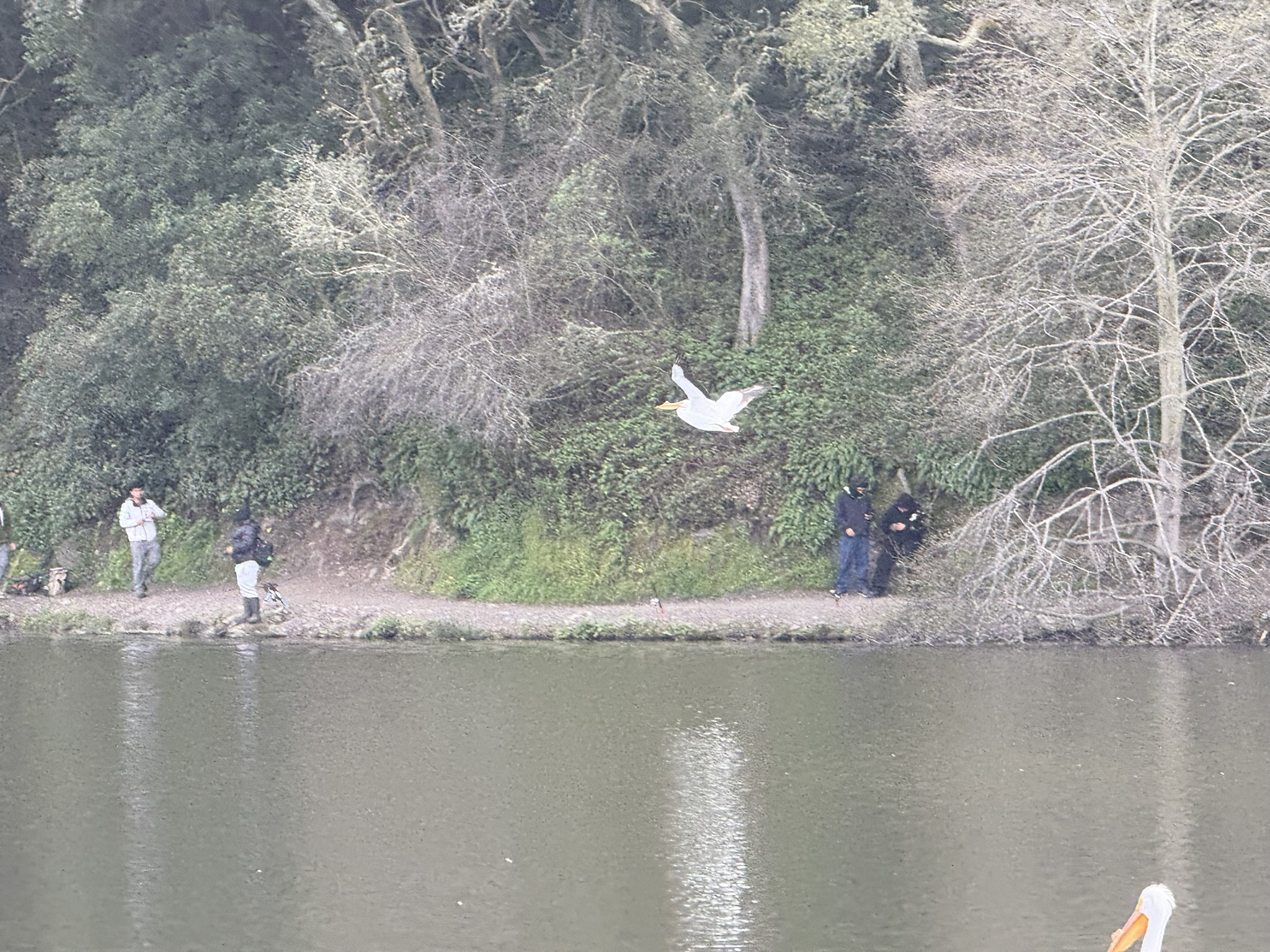 Temescal Regional Recreation Area