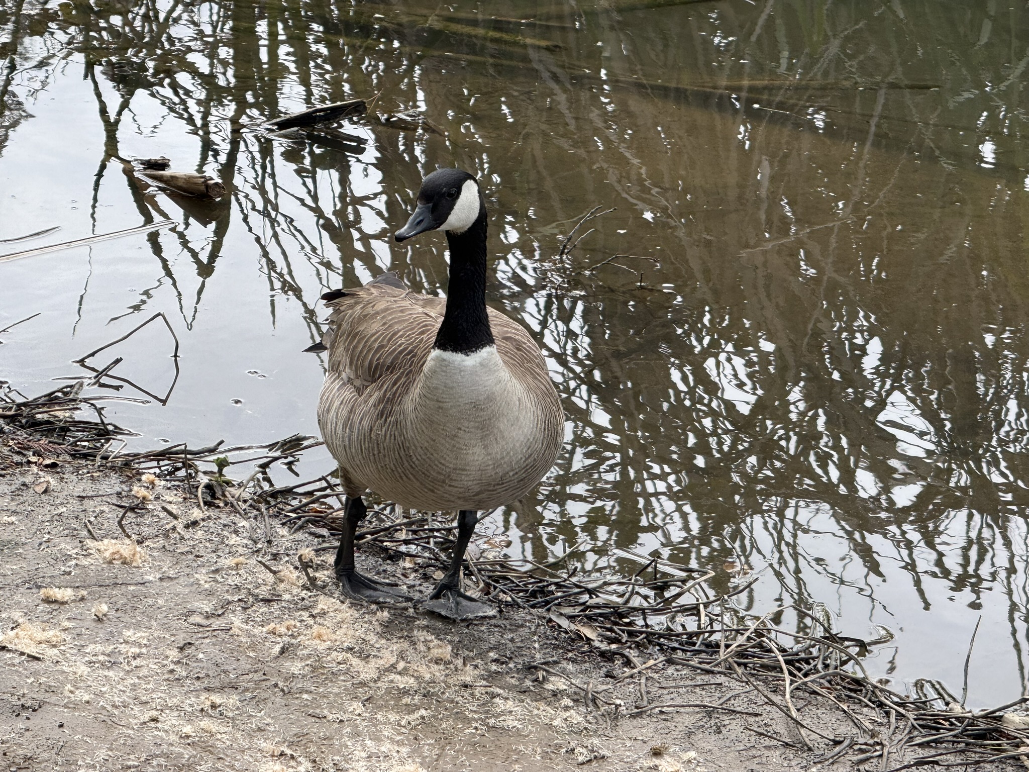Temescal Regional Recreation Area