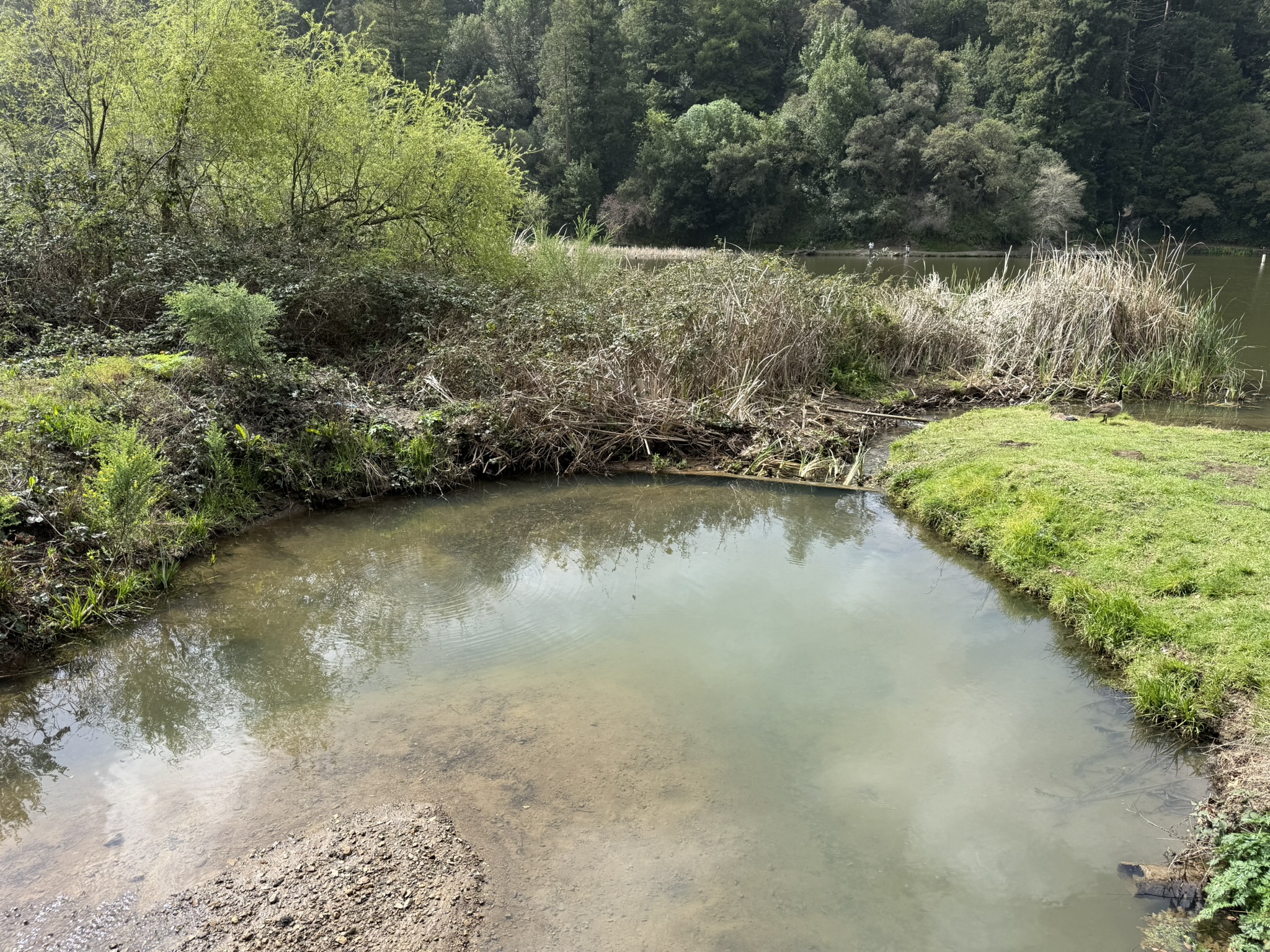 Temescal Regional Recreation Area