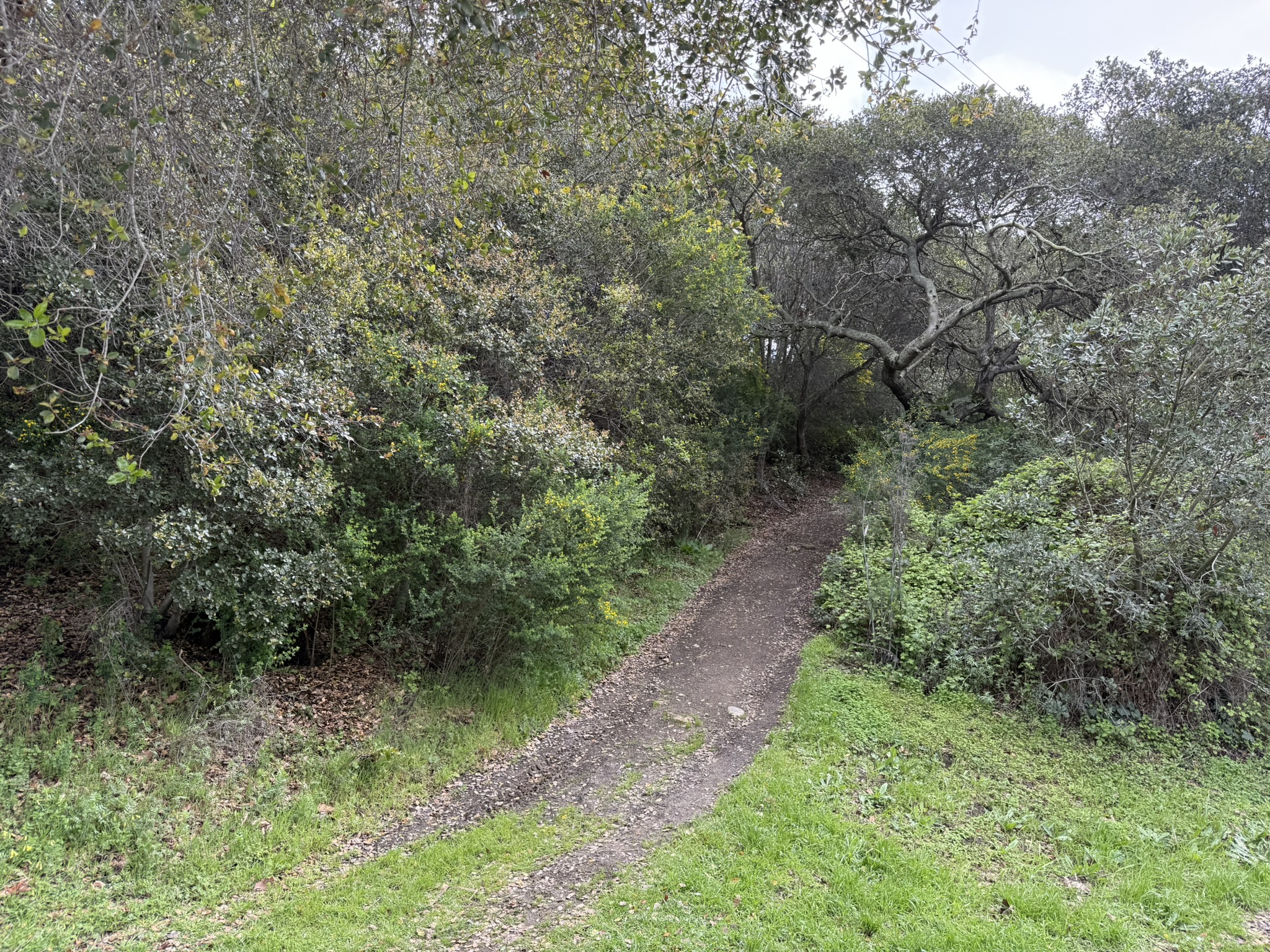 Temescal Regional Recreation Area