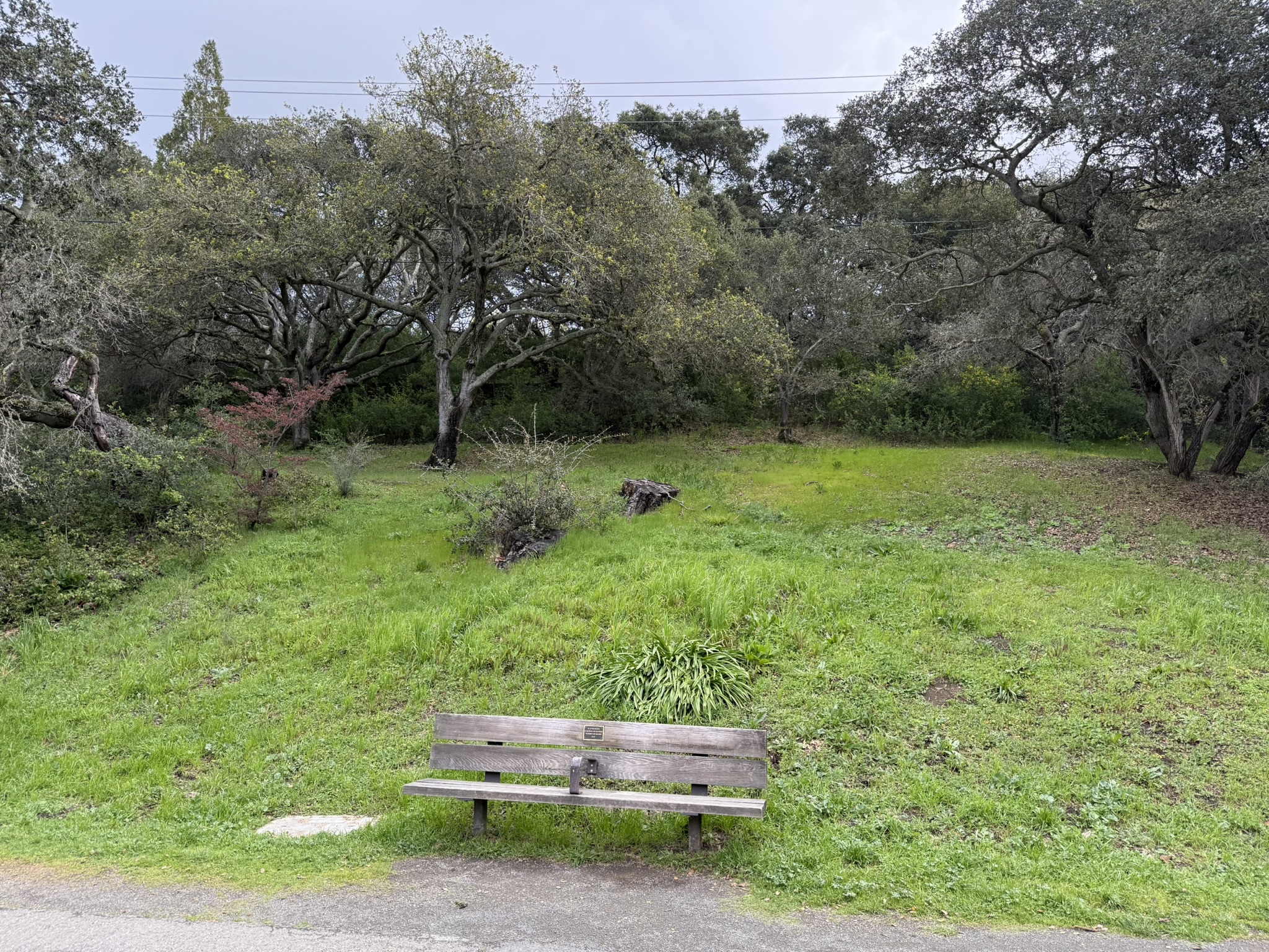 Temescal Regional Recreation Area