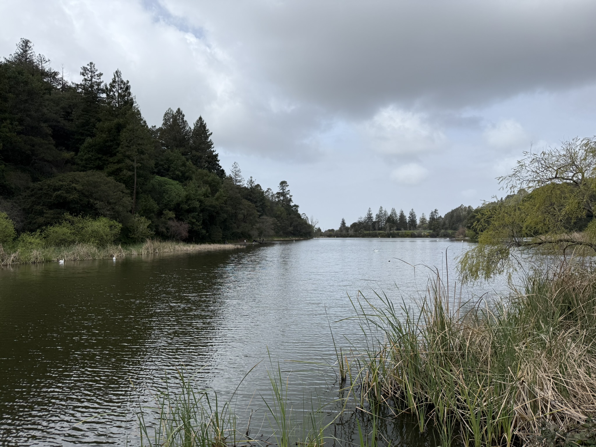 Temescal Regional Recreation Area