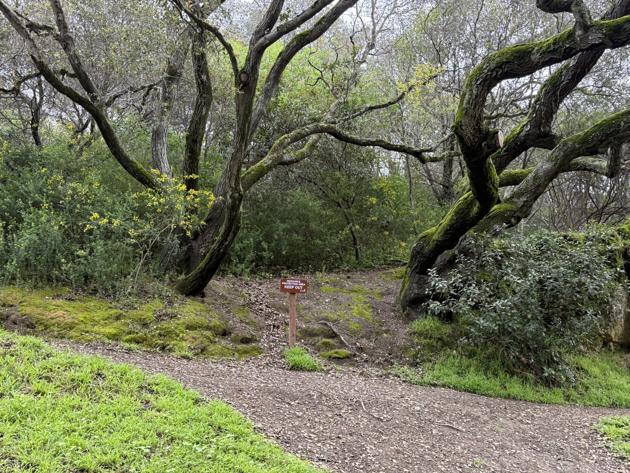 Temescal Regional Recreation Area