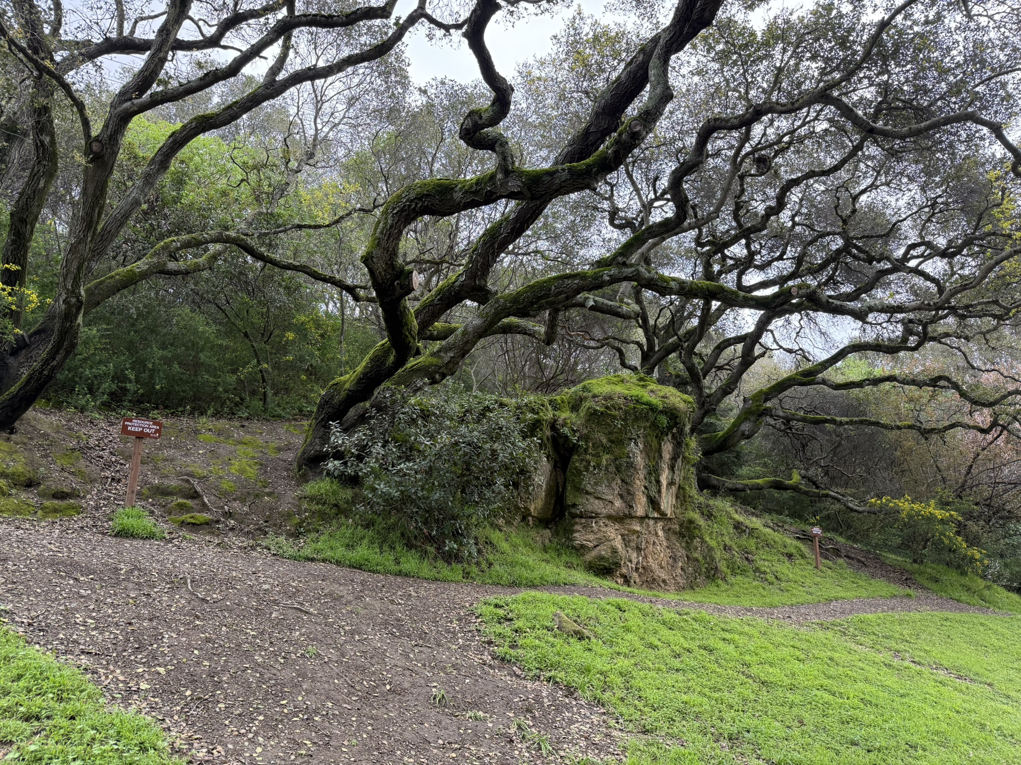 Temescal Regional Recreation Area
