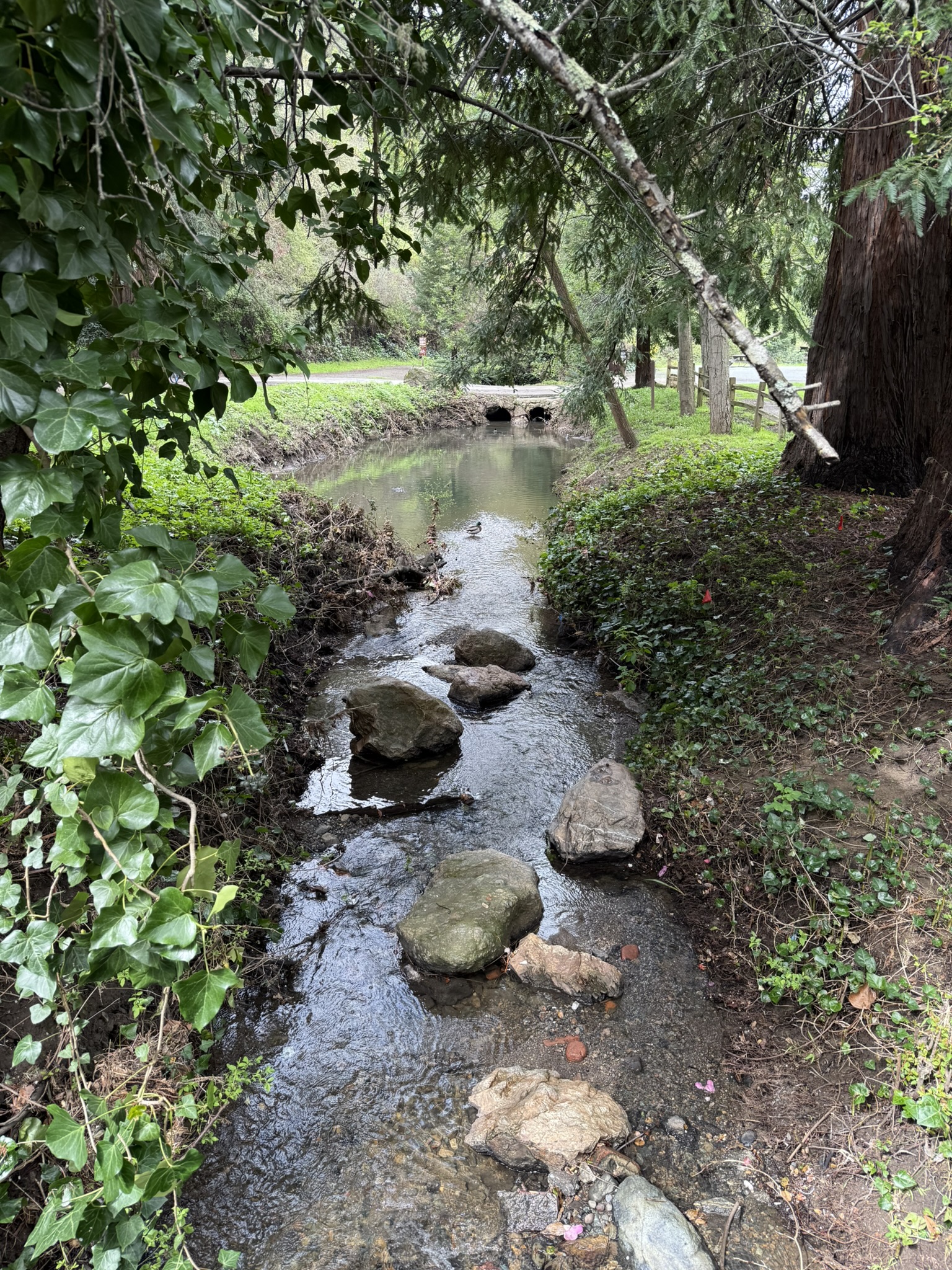 Temescal Regional Recreation Area