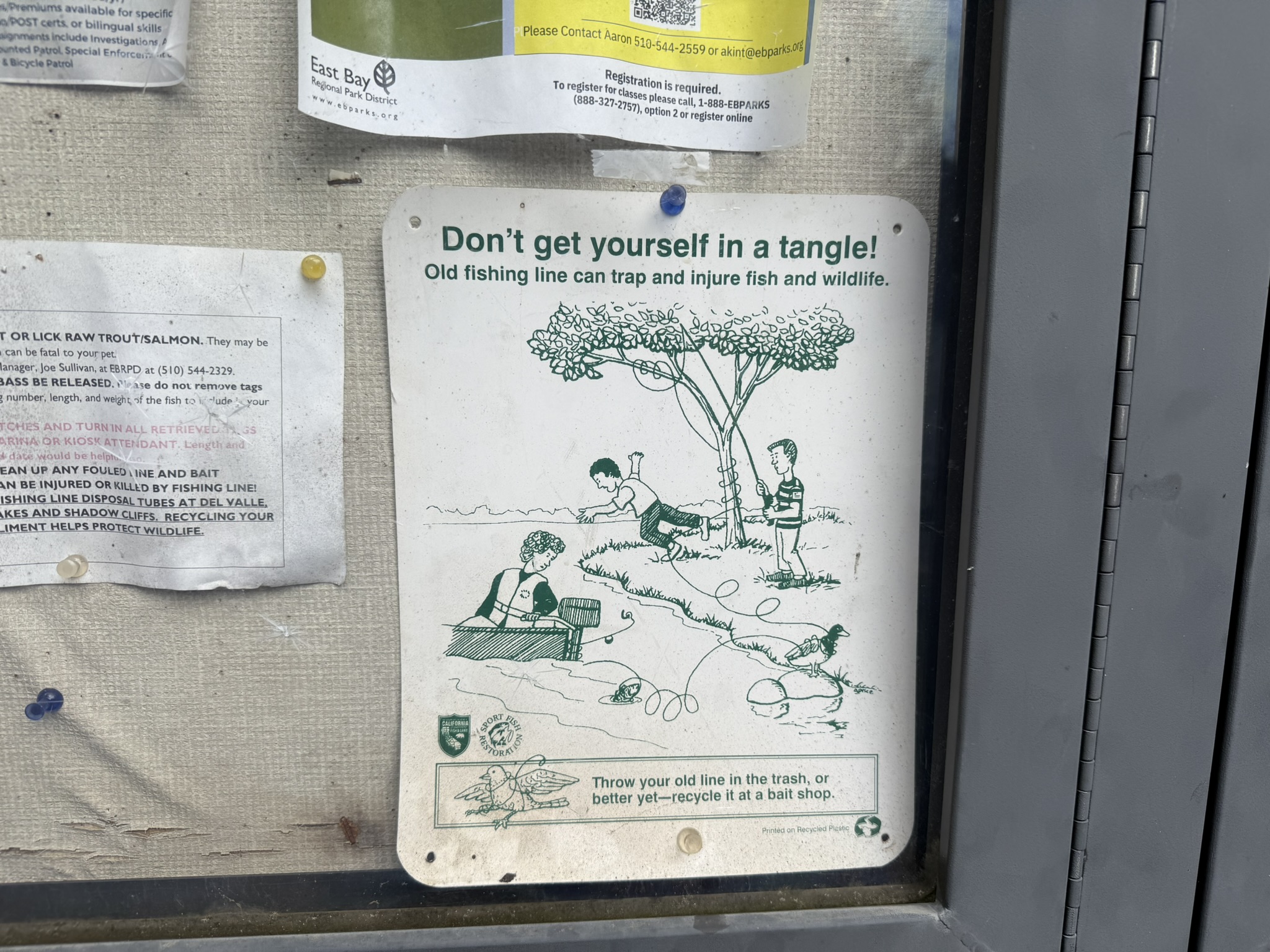 Temescal Regional Recreation Area