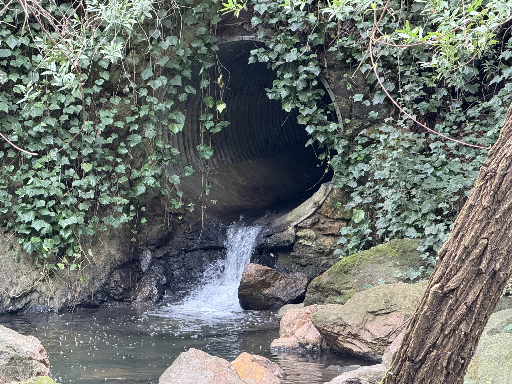 Temescal Regional Recreation Area