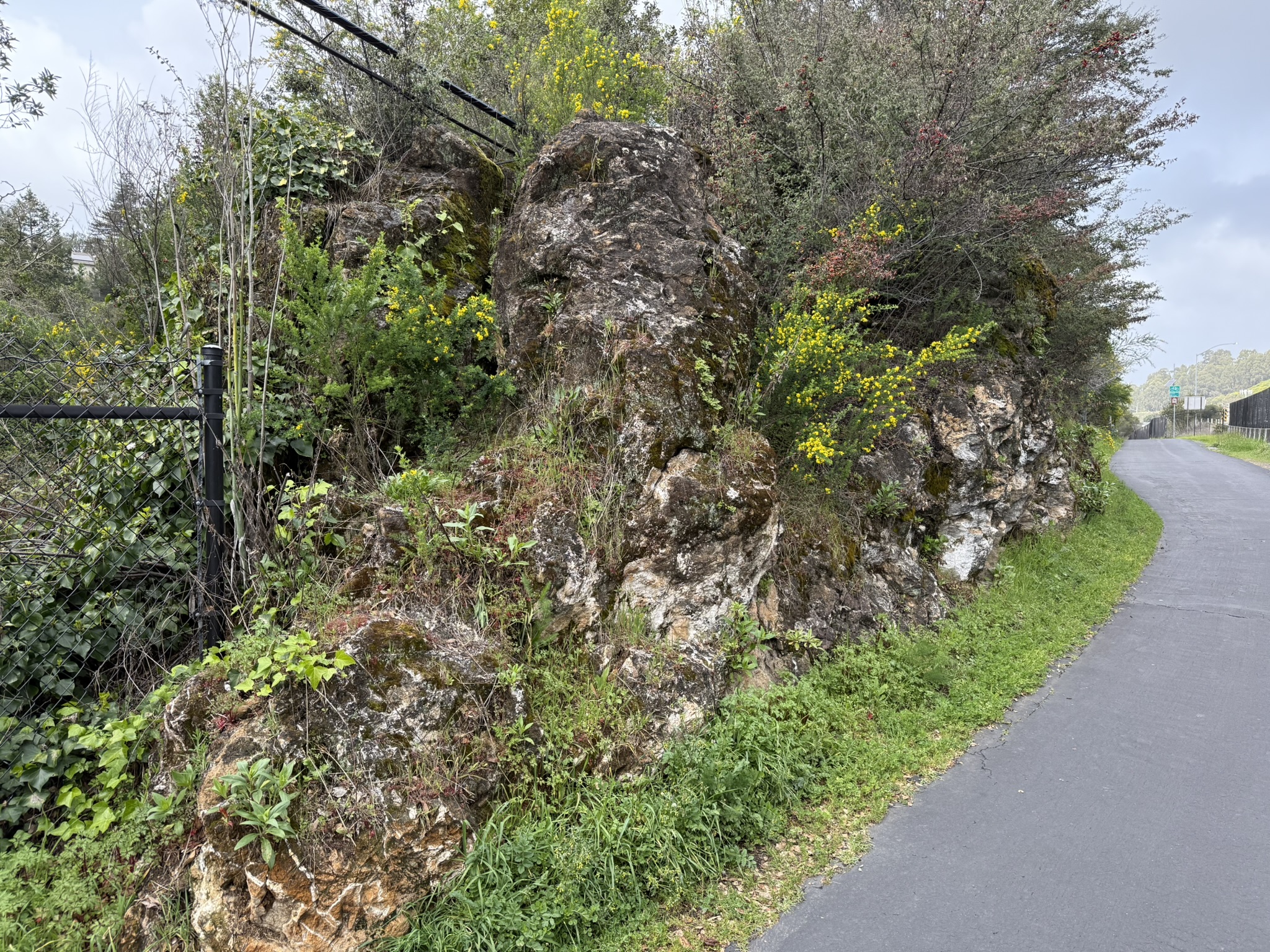 Temescal Regional Recreation Area