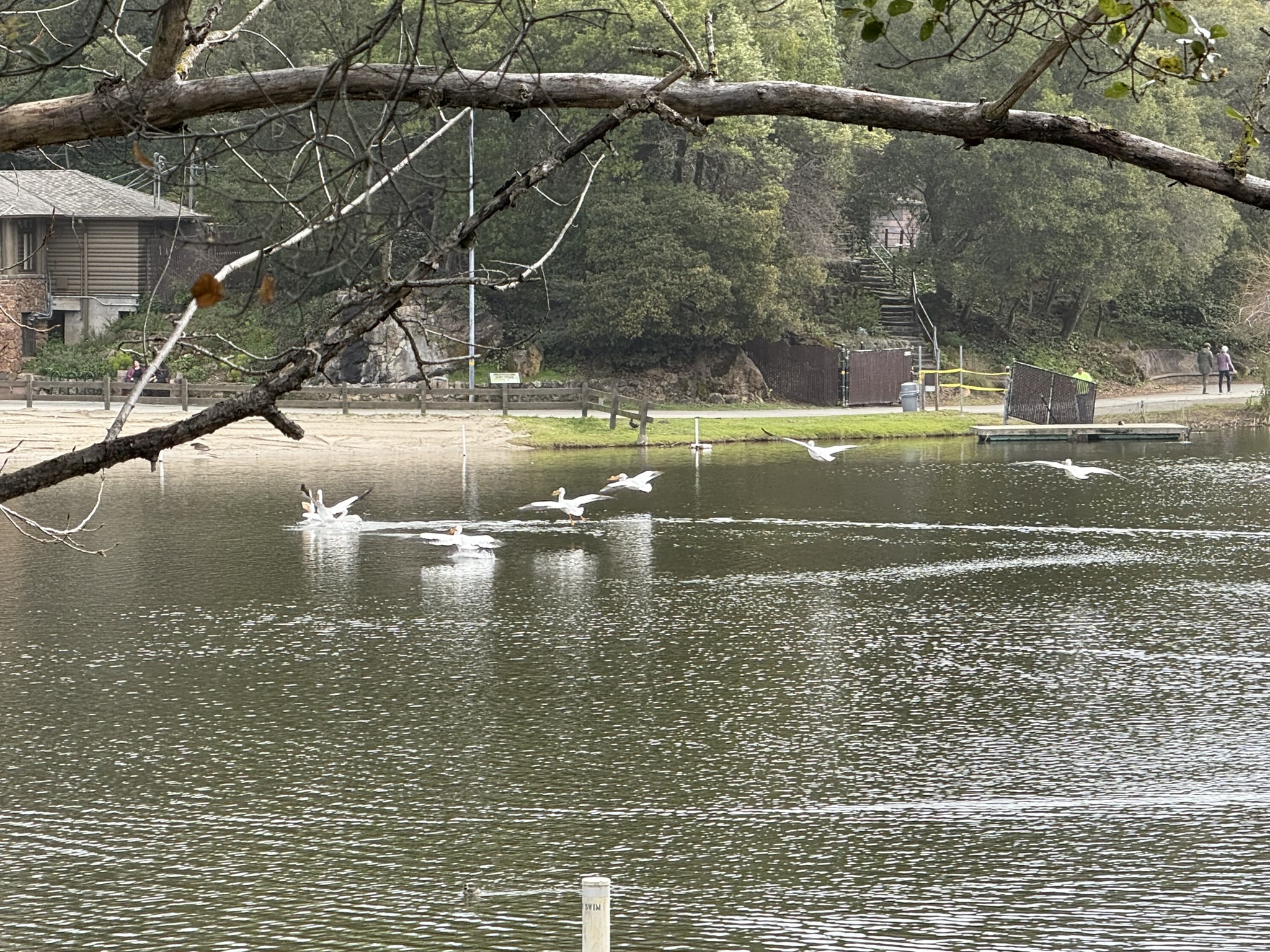 Temescal Regional Recreation Area