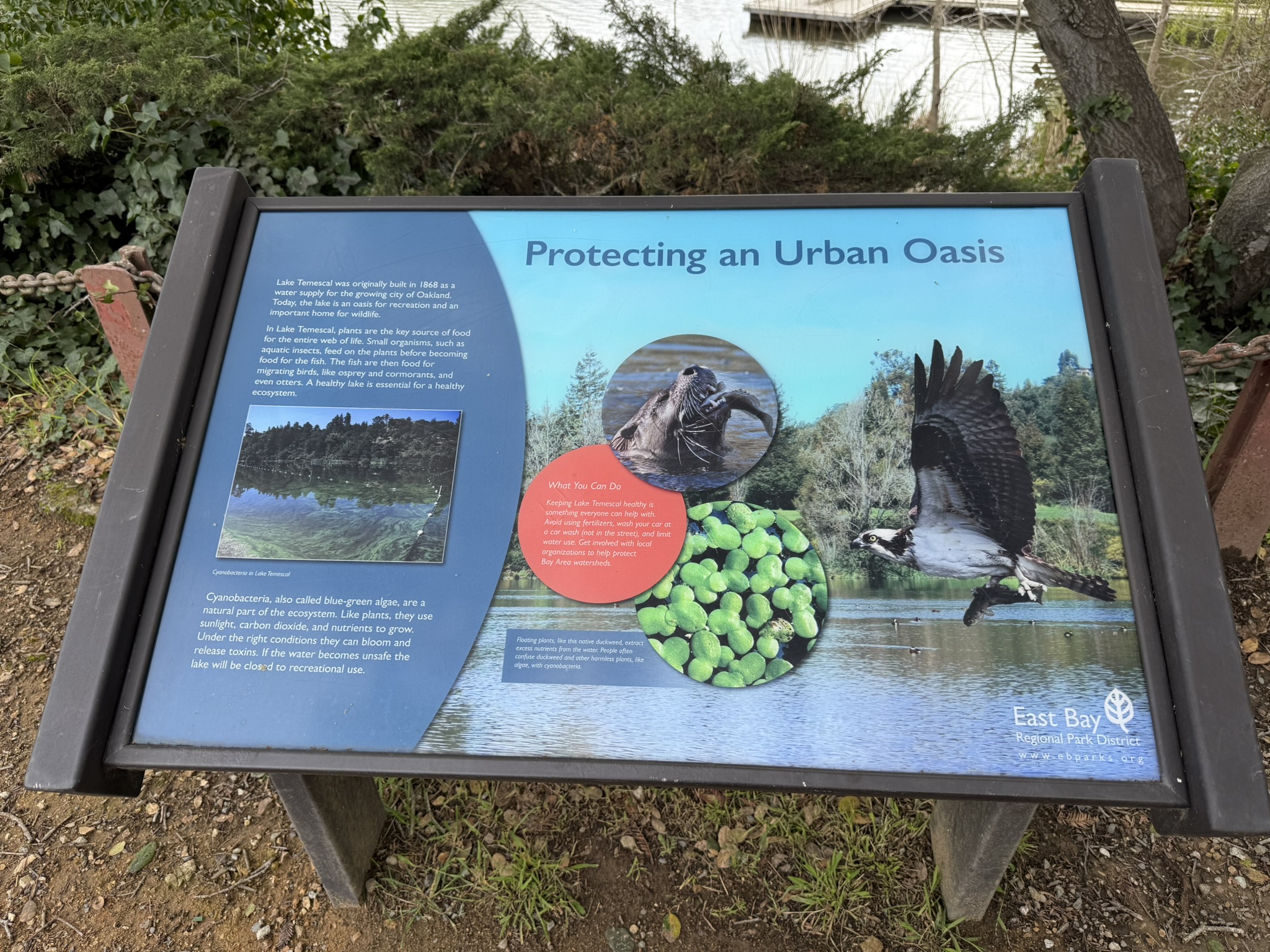Temescal Regional Recreation Area