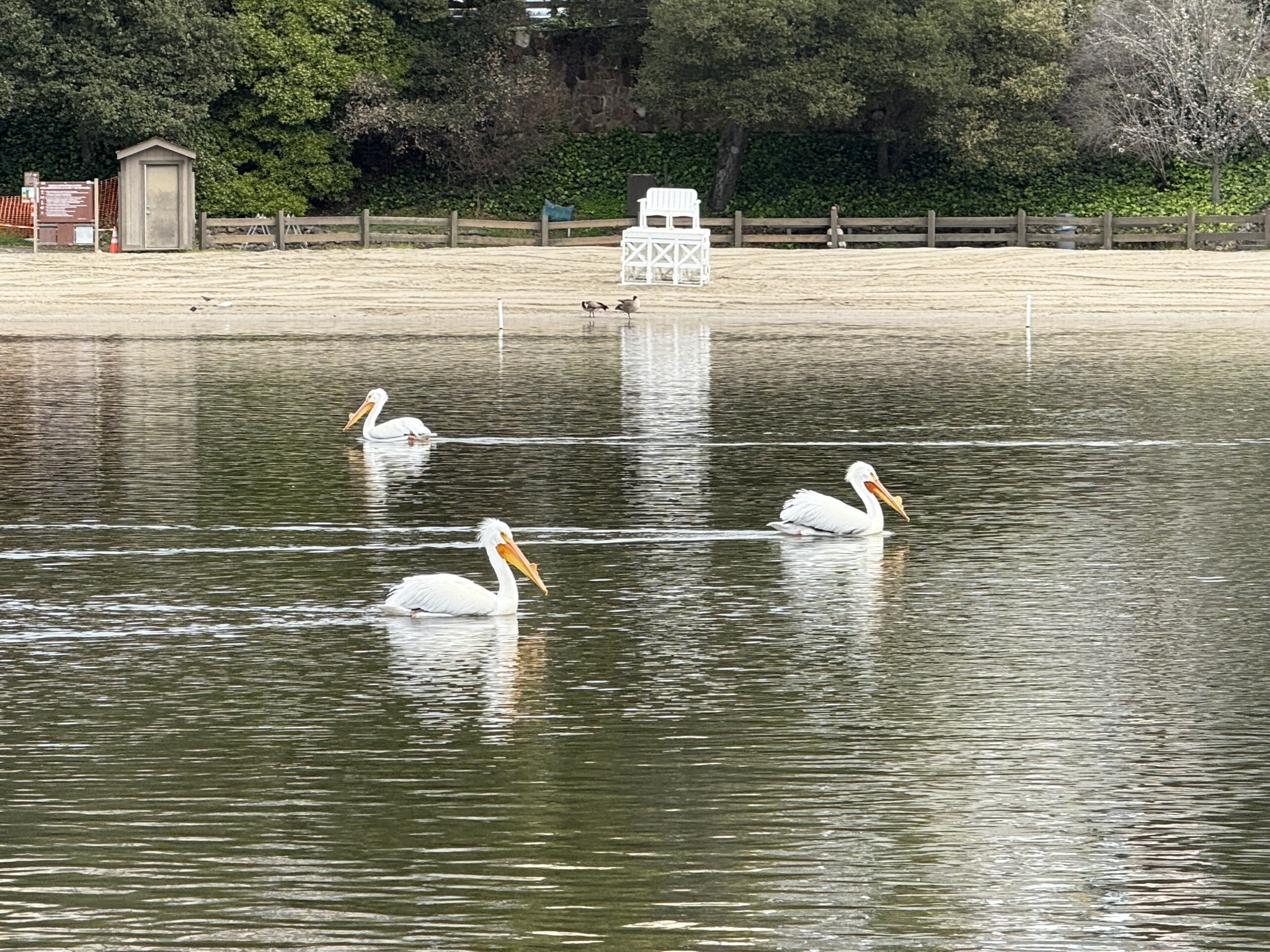 Temescal Regional Recreation Area
