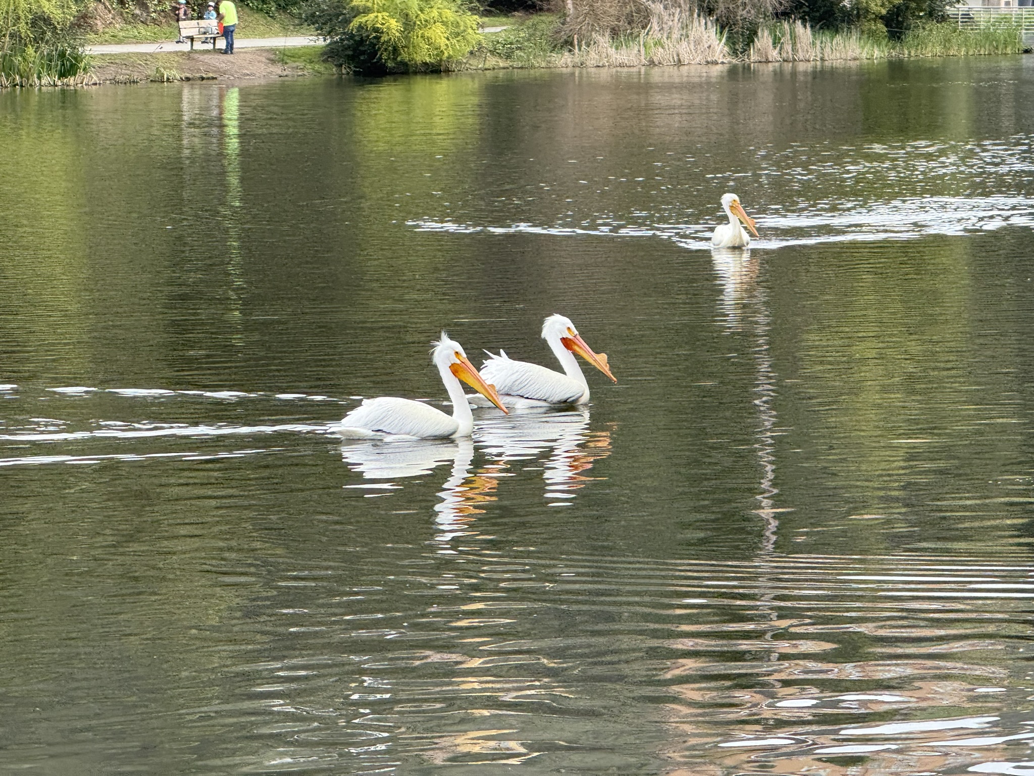 Temescal Regional Recreation Area