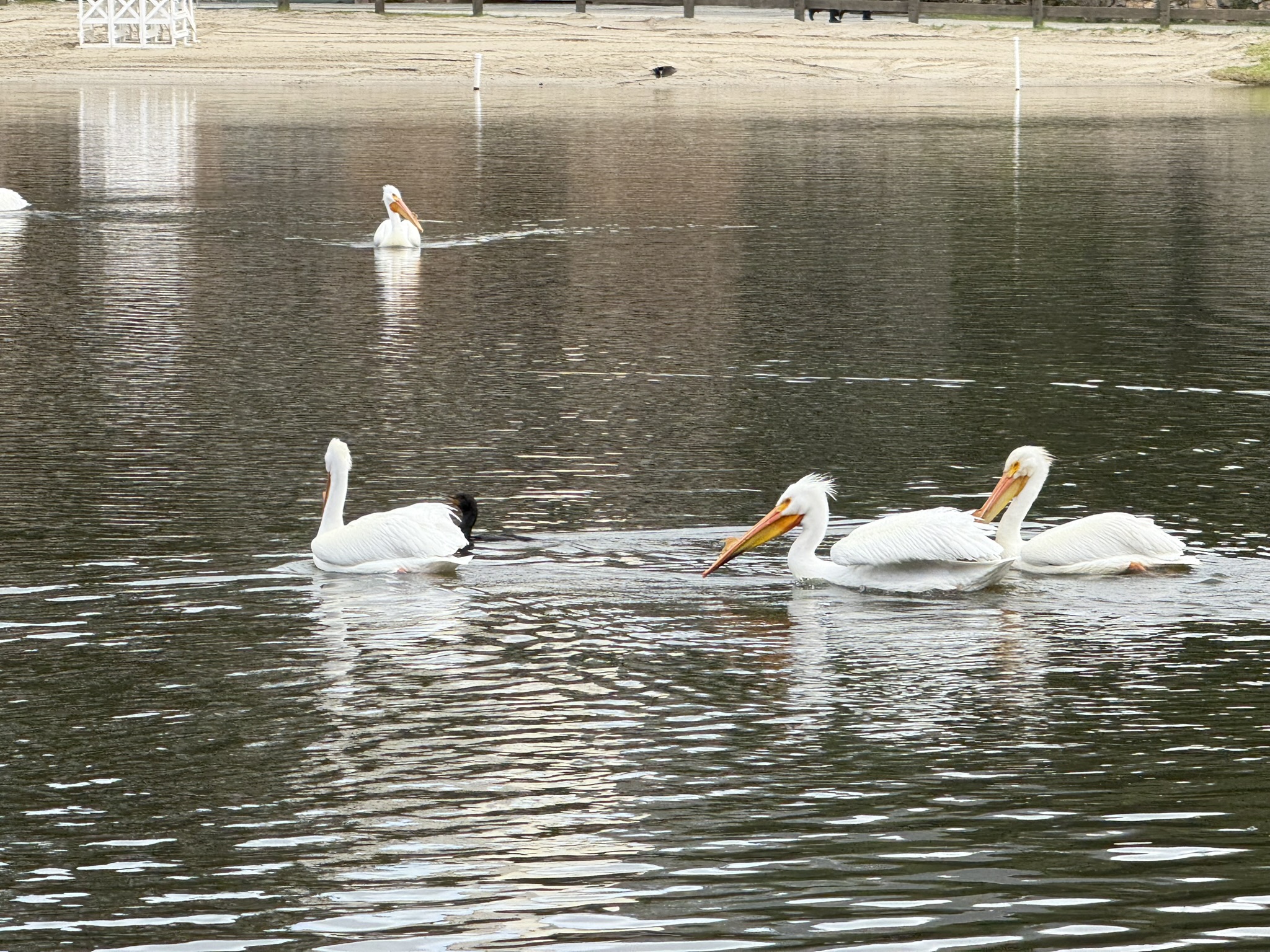 Temescal Regional Recreation Area