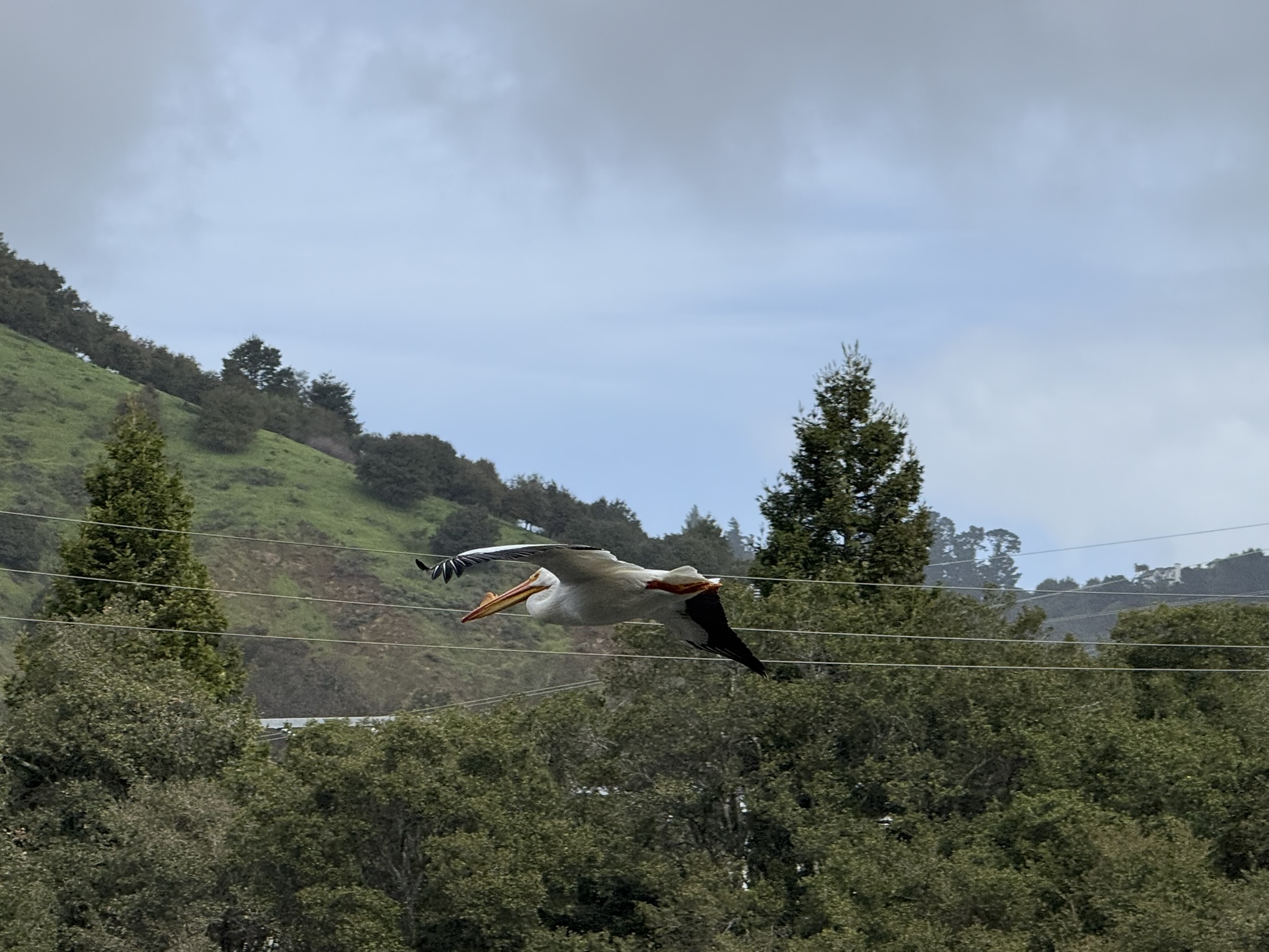 Temescal Regional Recreation Area