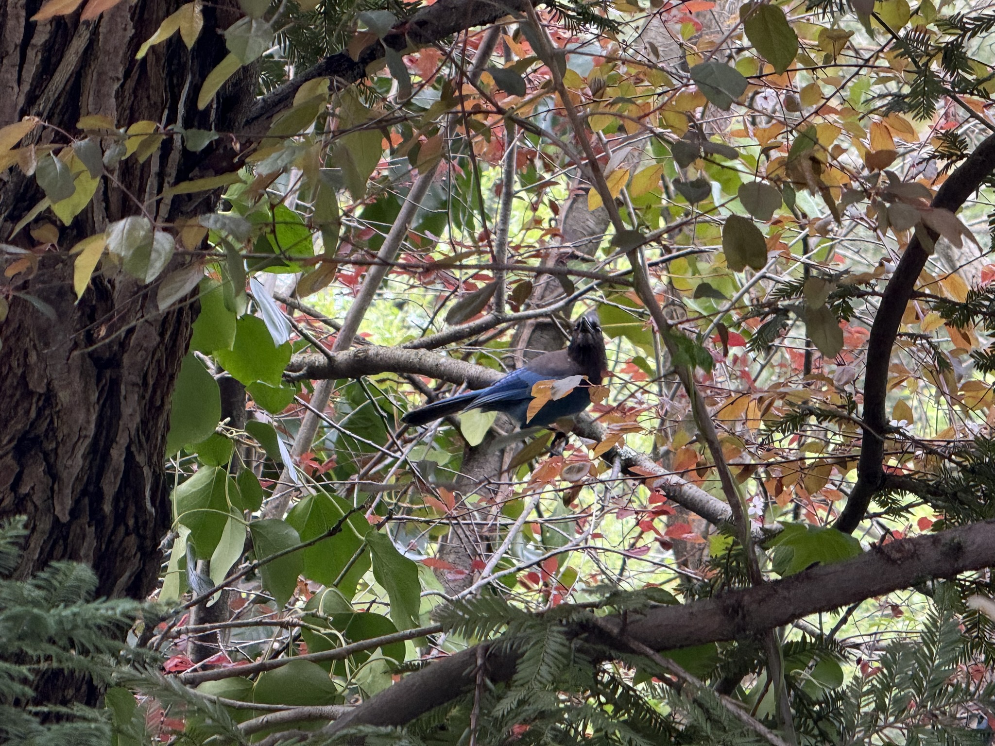 Temescal Regional Recreation Area