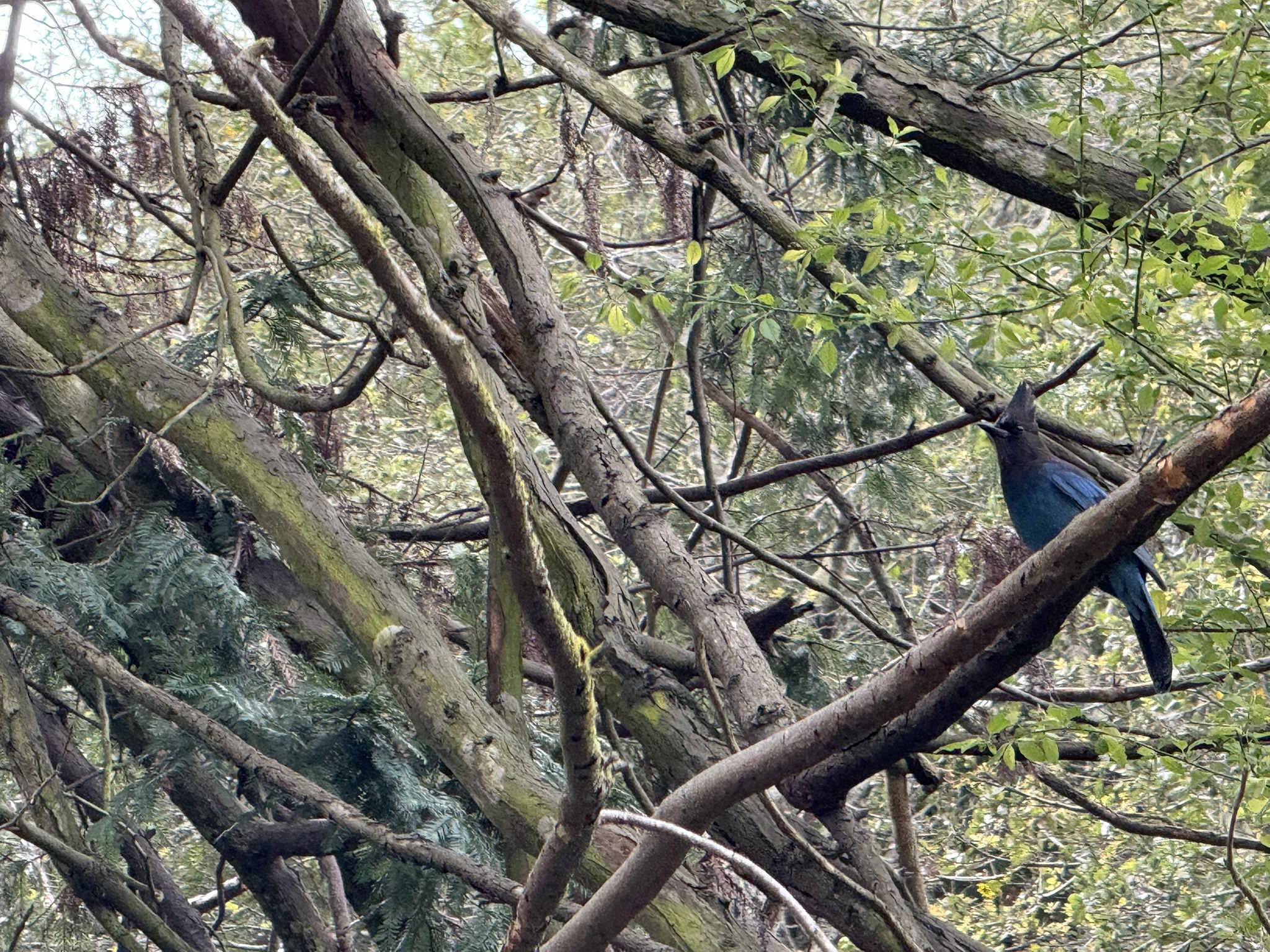 Temescal Regional Recreation Area