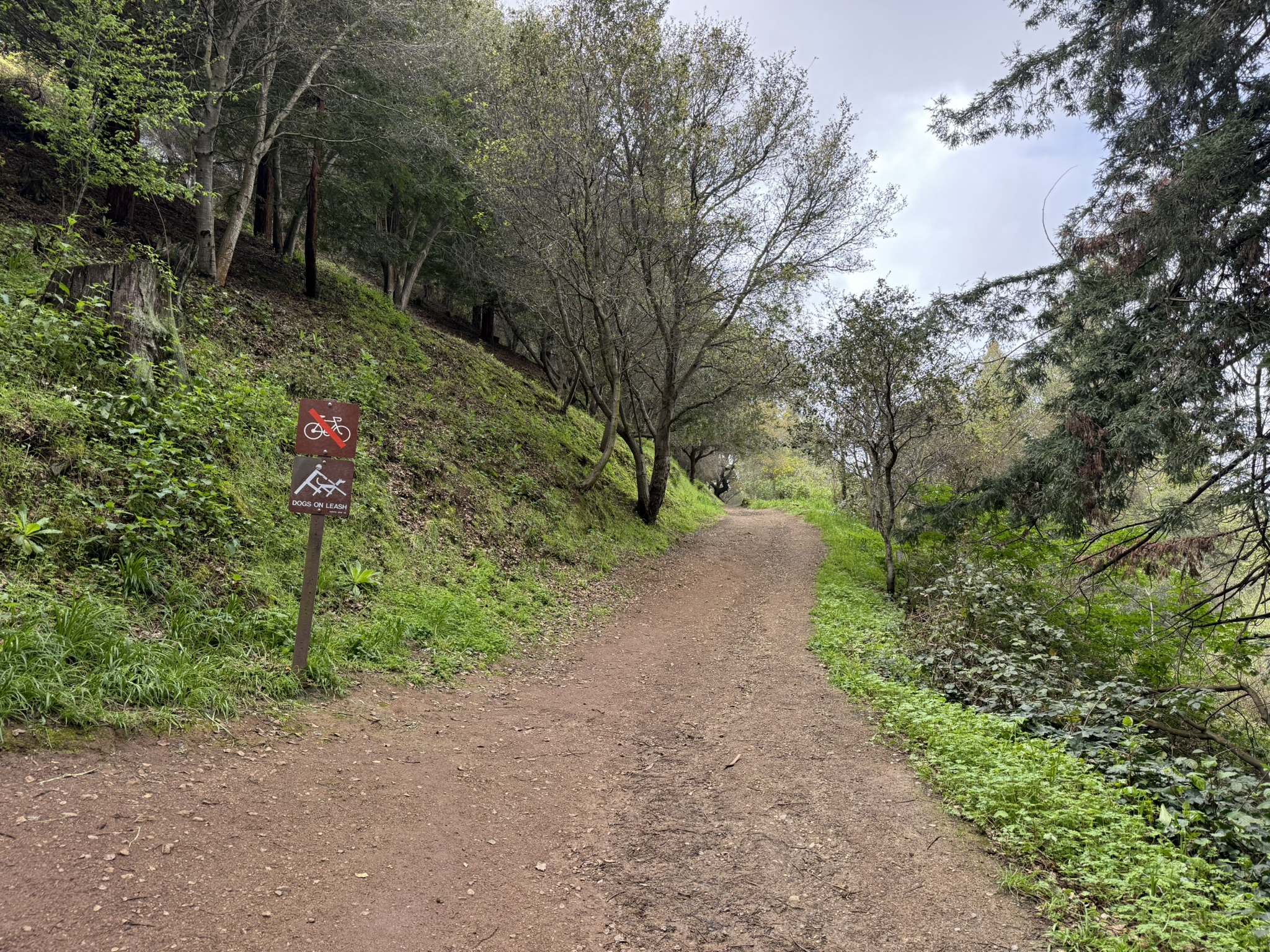 Temescal Regional Recreation Area