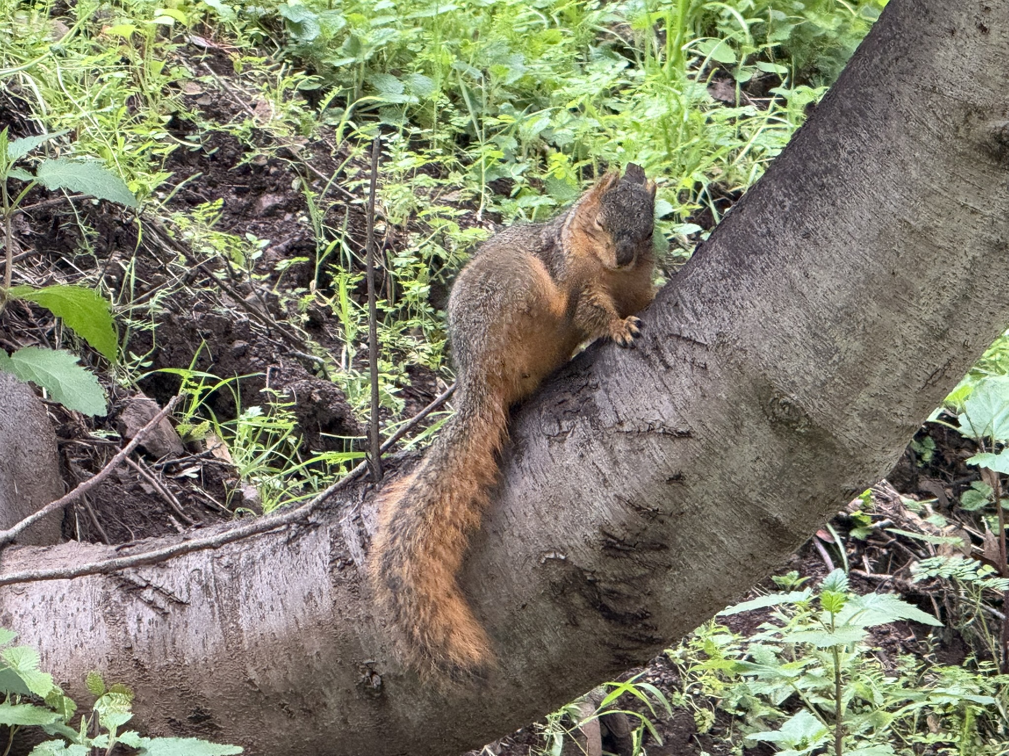 Temescal Regional Recreation Area