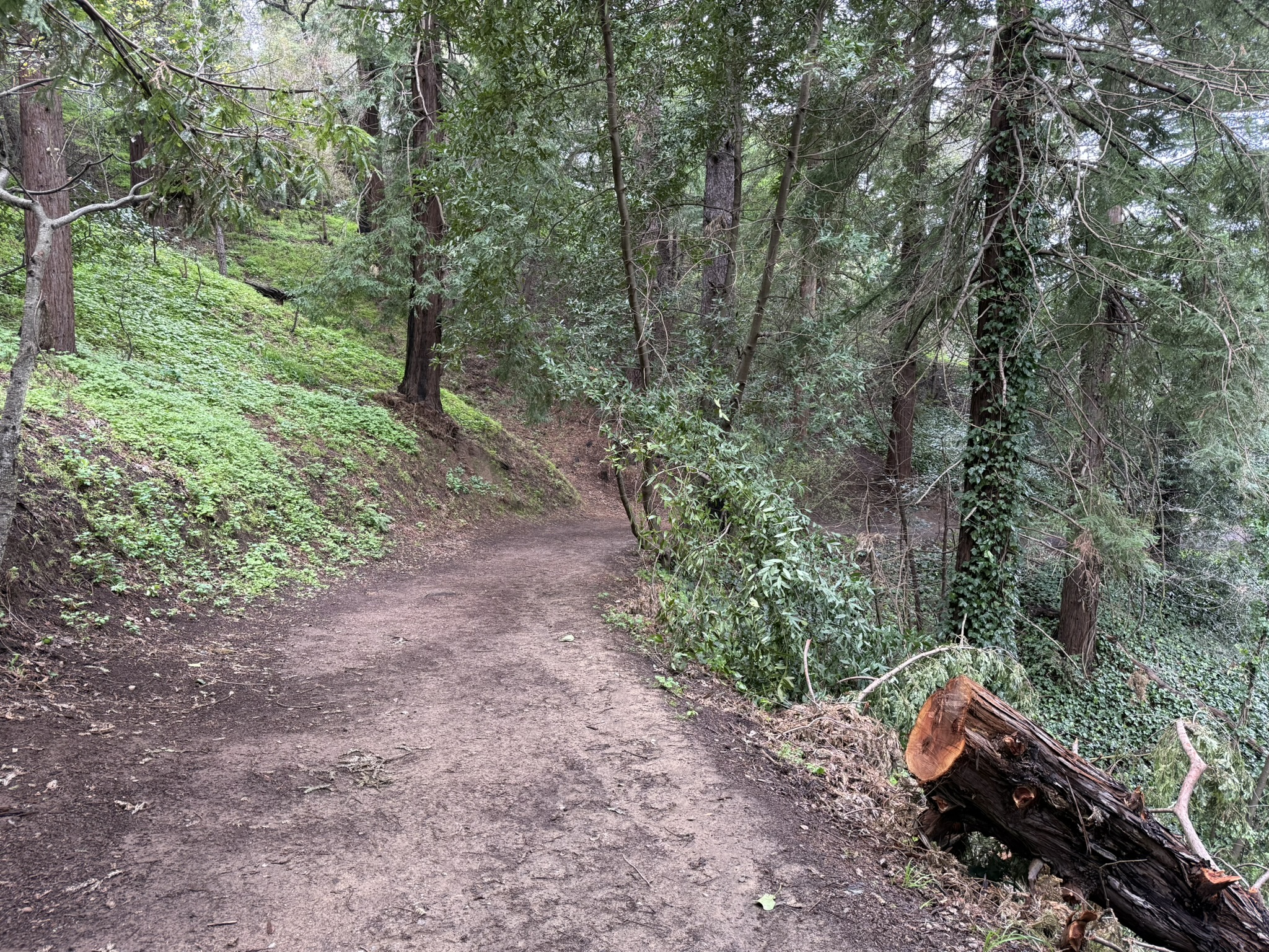 Temescal Regional Recreation Area