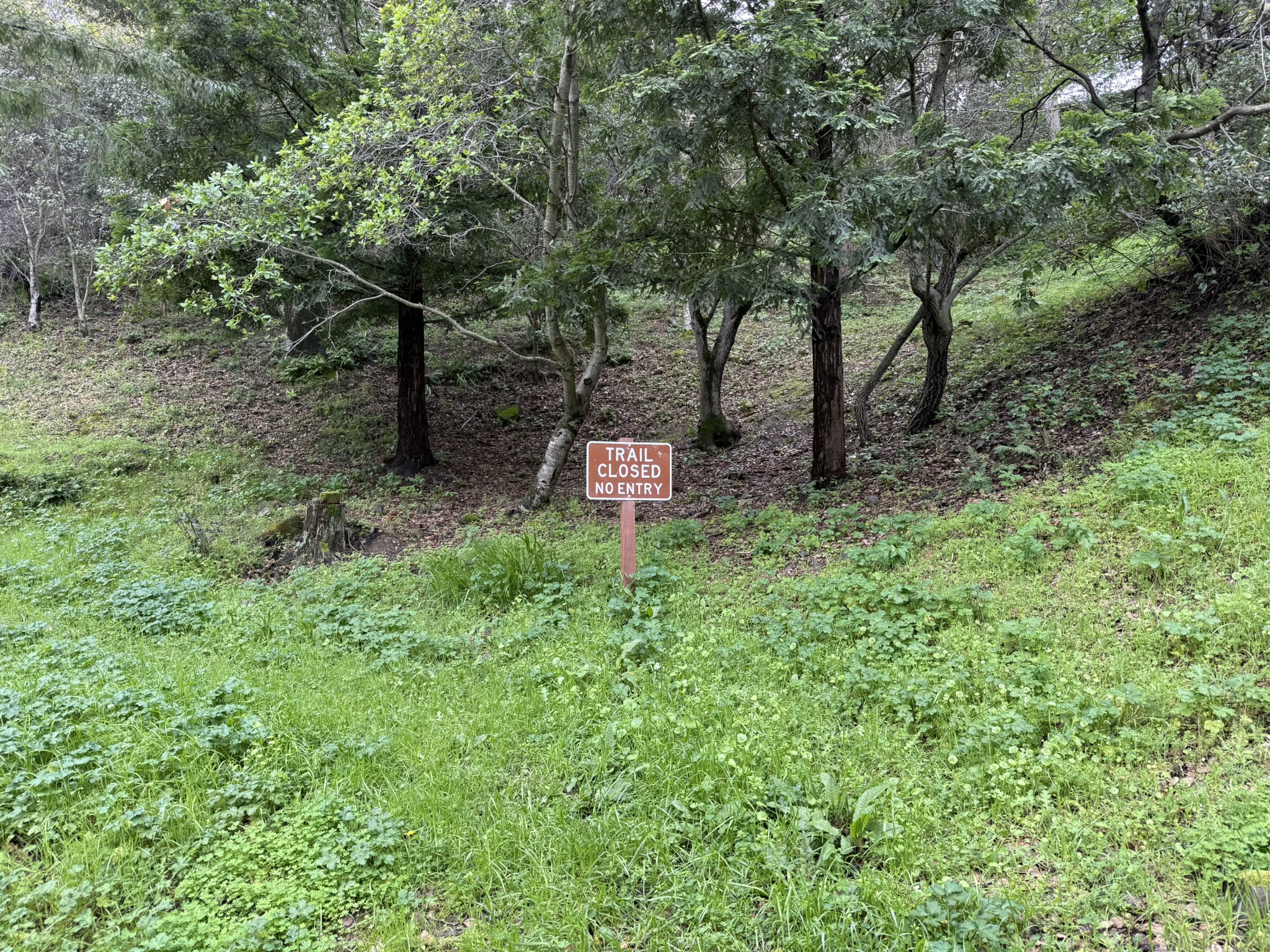 Temescal Regional Recreation Area
