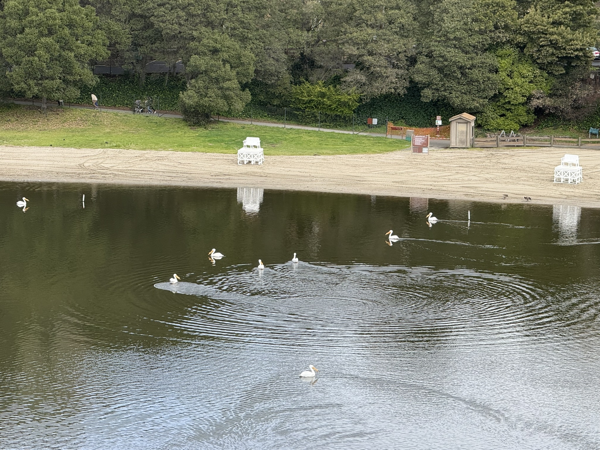 Temescal Regional Recreation Area