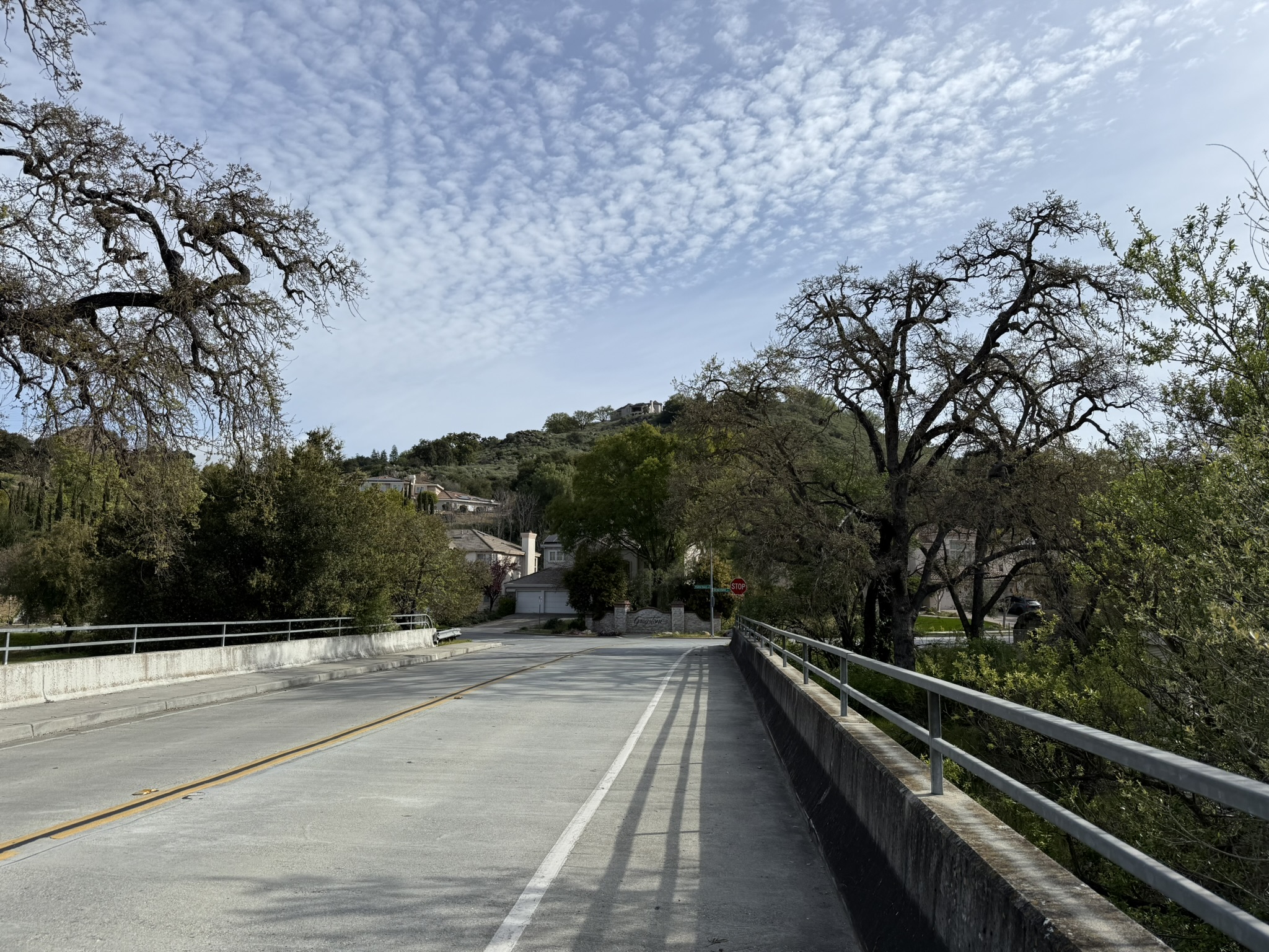 Los Alamitos Creek Trail South