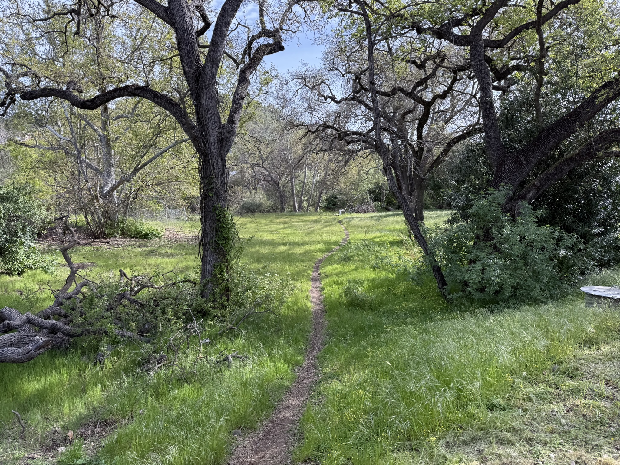 Los Alamitos Creek Trail South