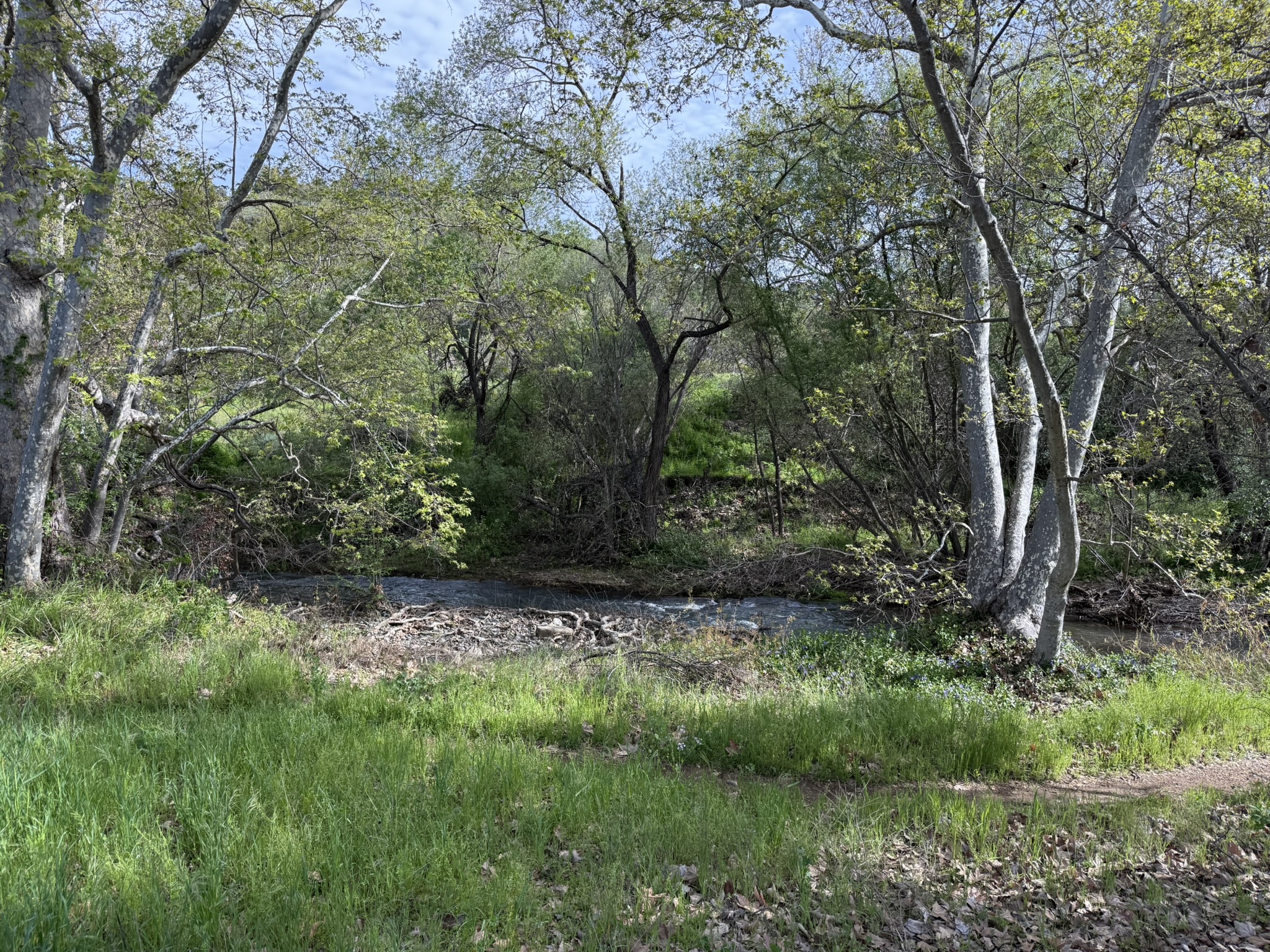 Los Alamitos Creek Trail South