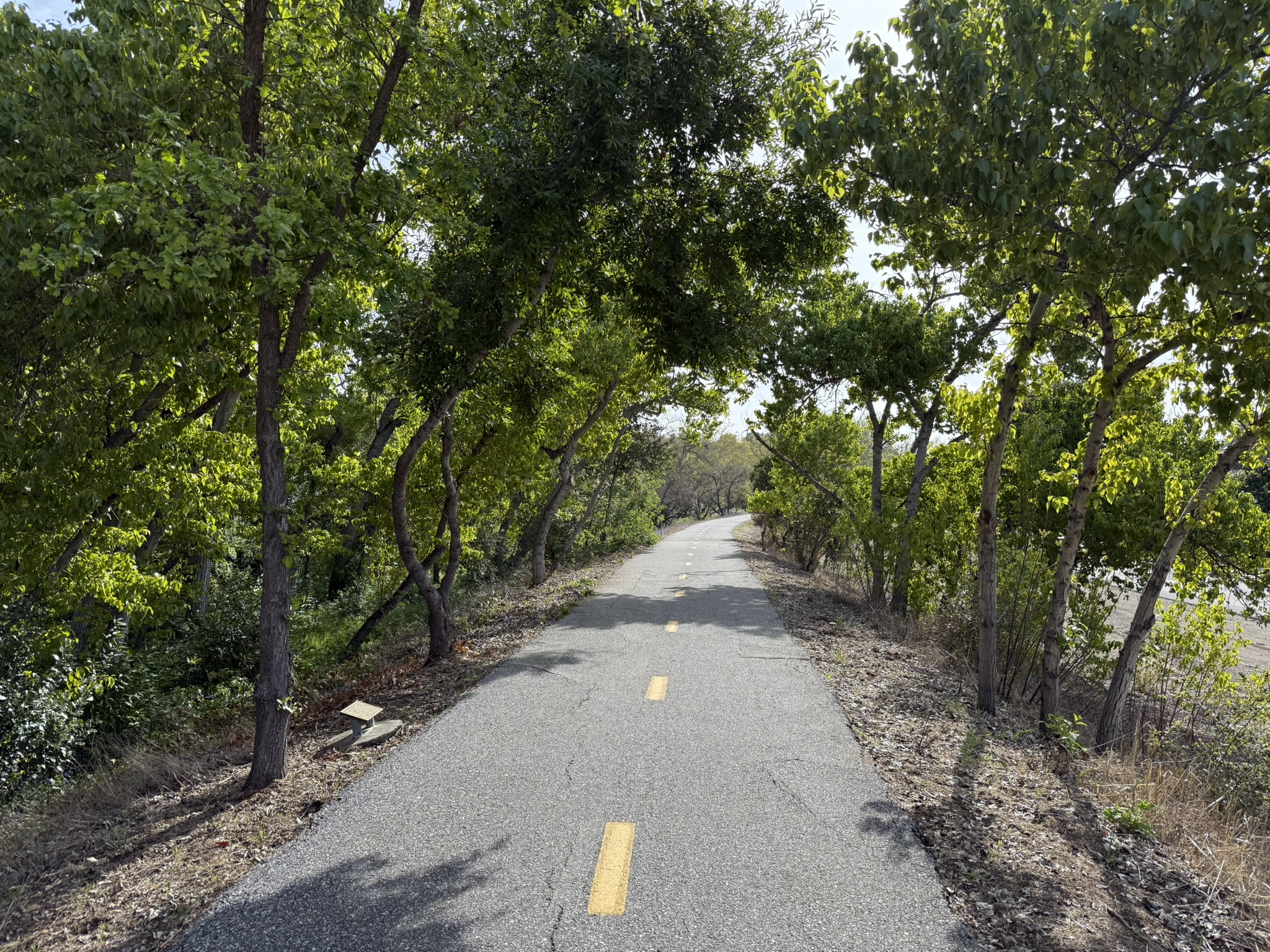 Los Alamitos Creek Trail South
