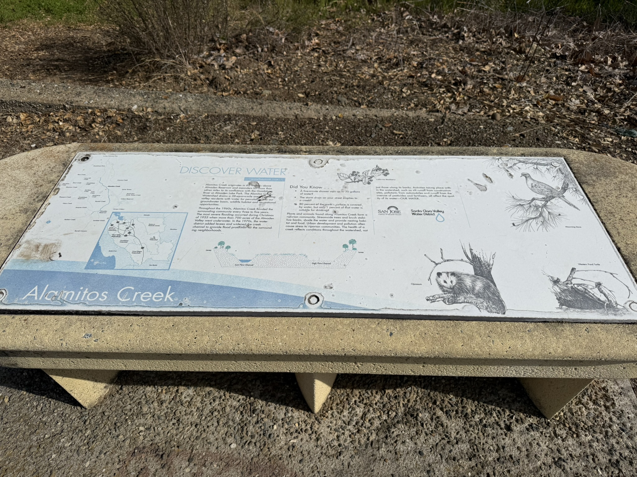 Los Alamitos Creek Trail South