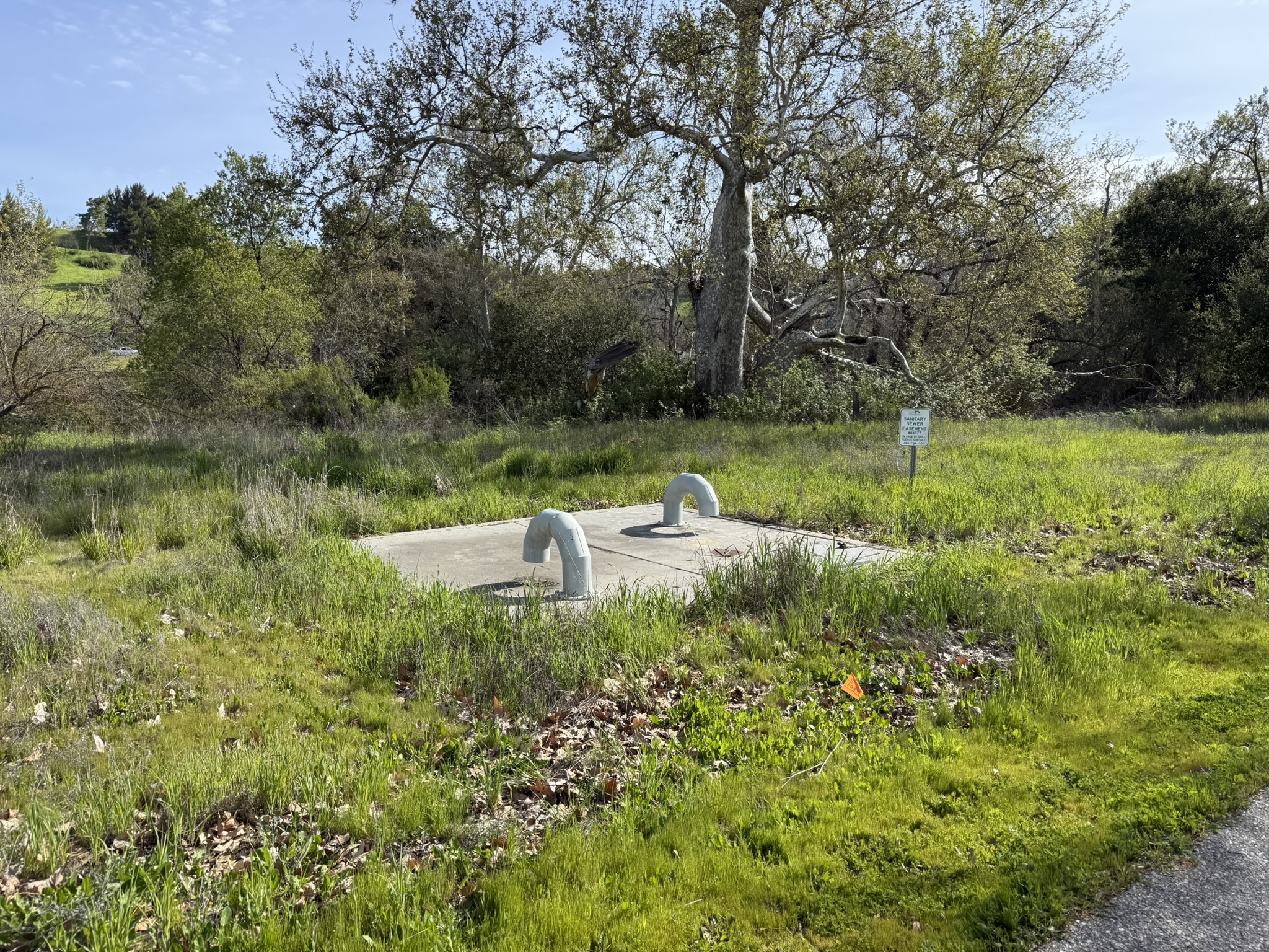 Los Alamitos Creek Trail South