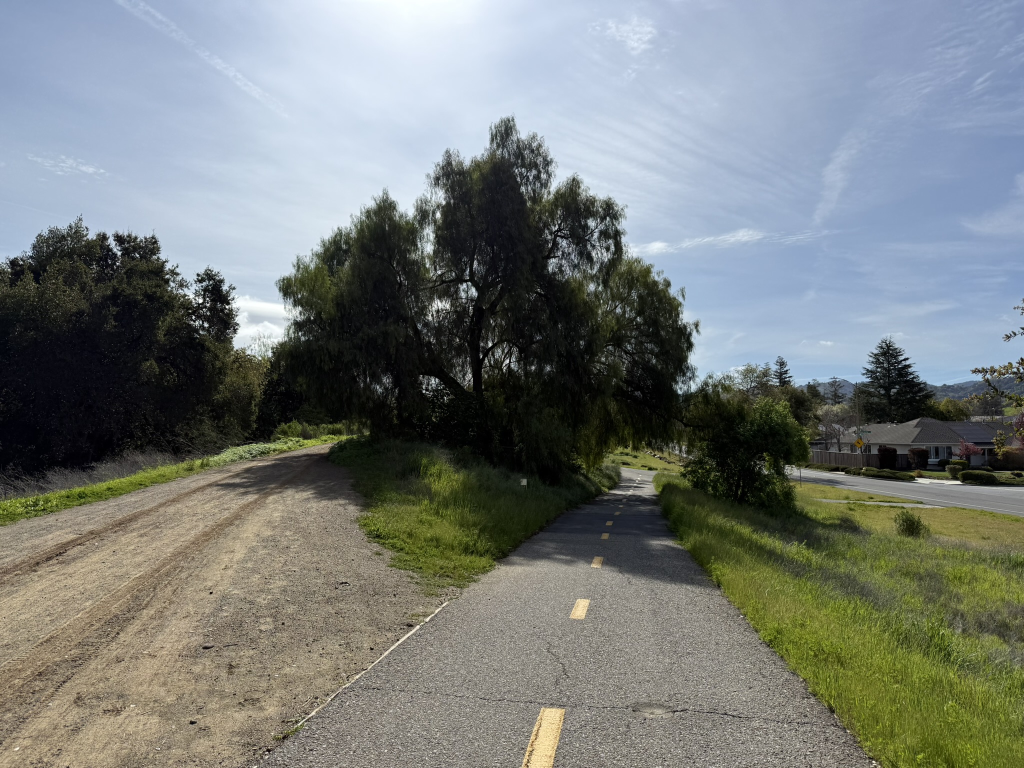 Los Alamitos Creek Trail South