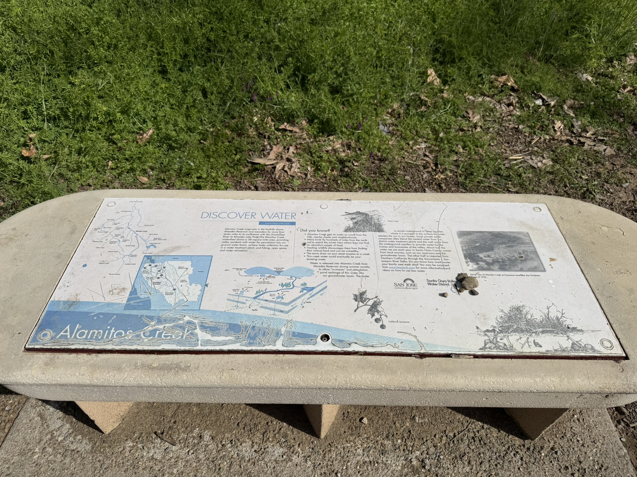 Los Alamitos Creek Trail South