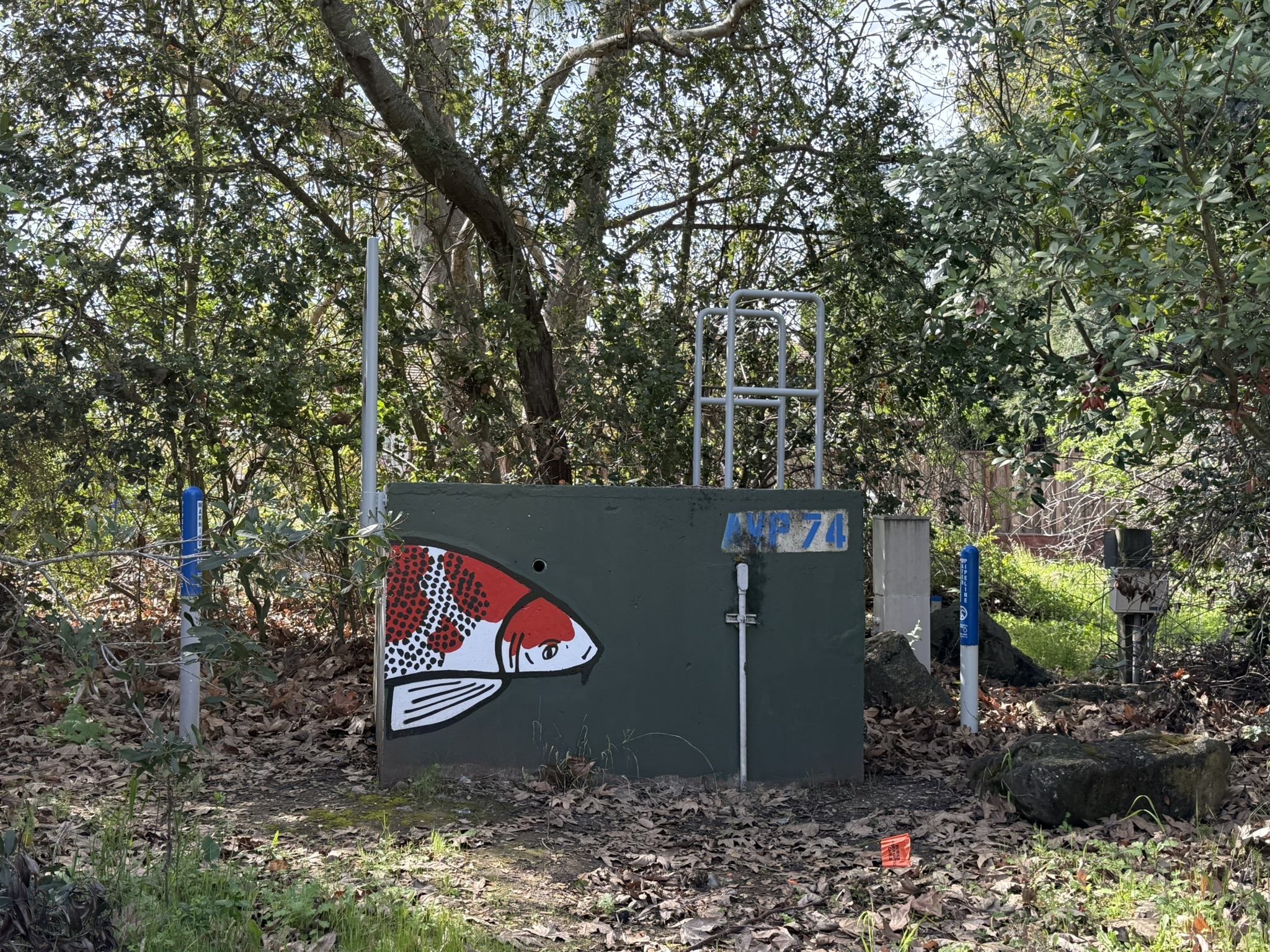 Los Alamitos Creek Trail South