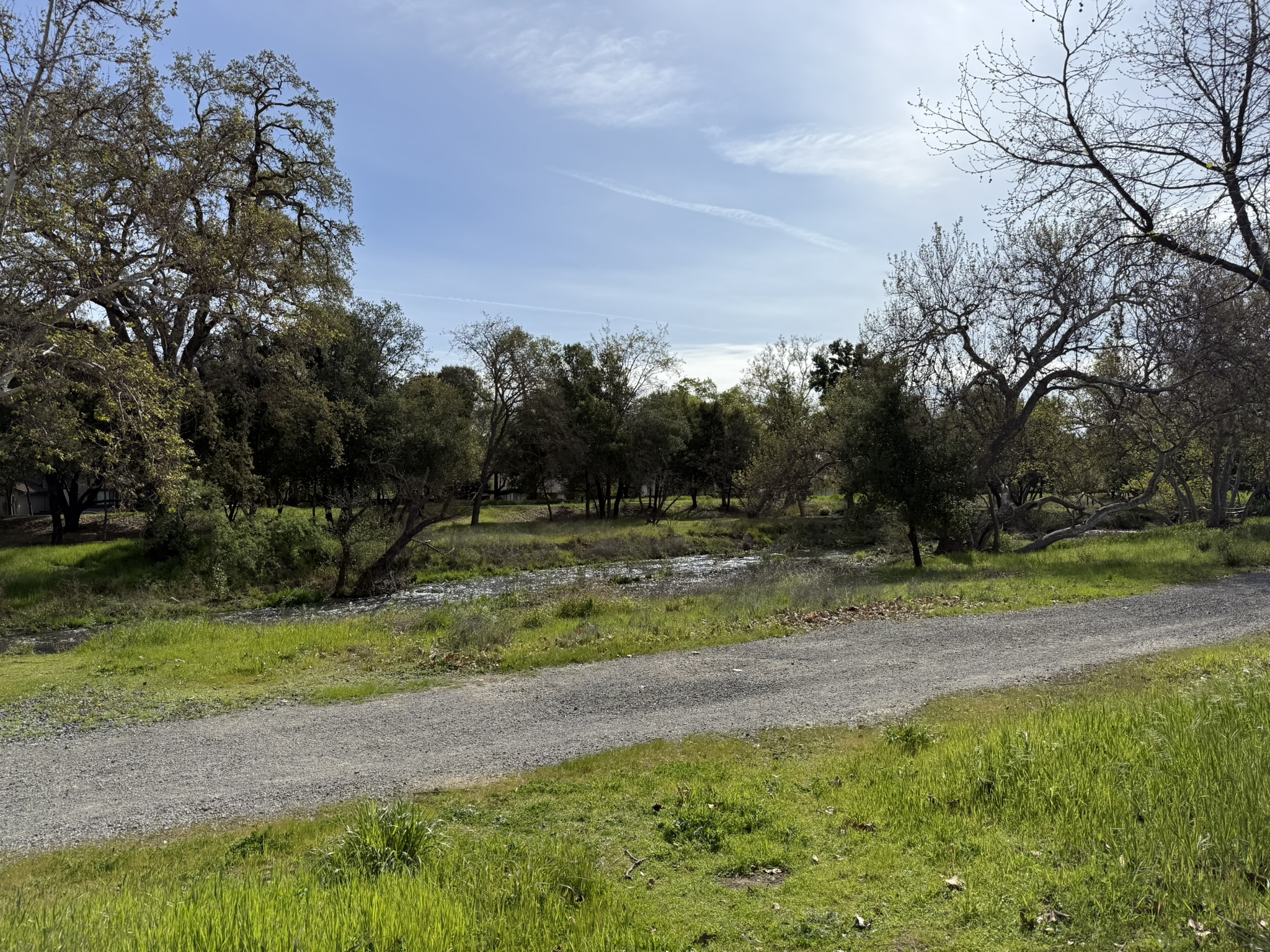 Los Alamitos Creek Trail South